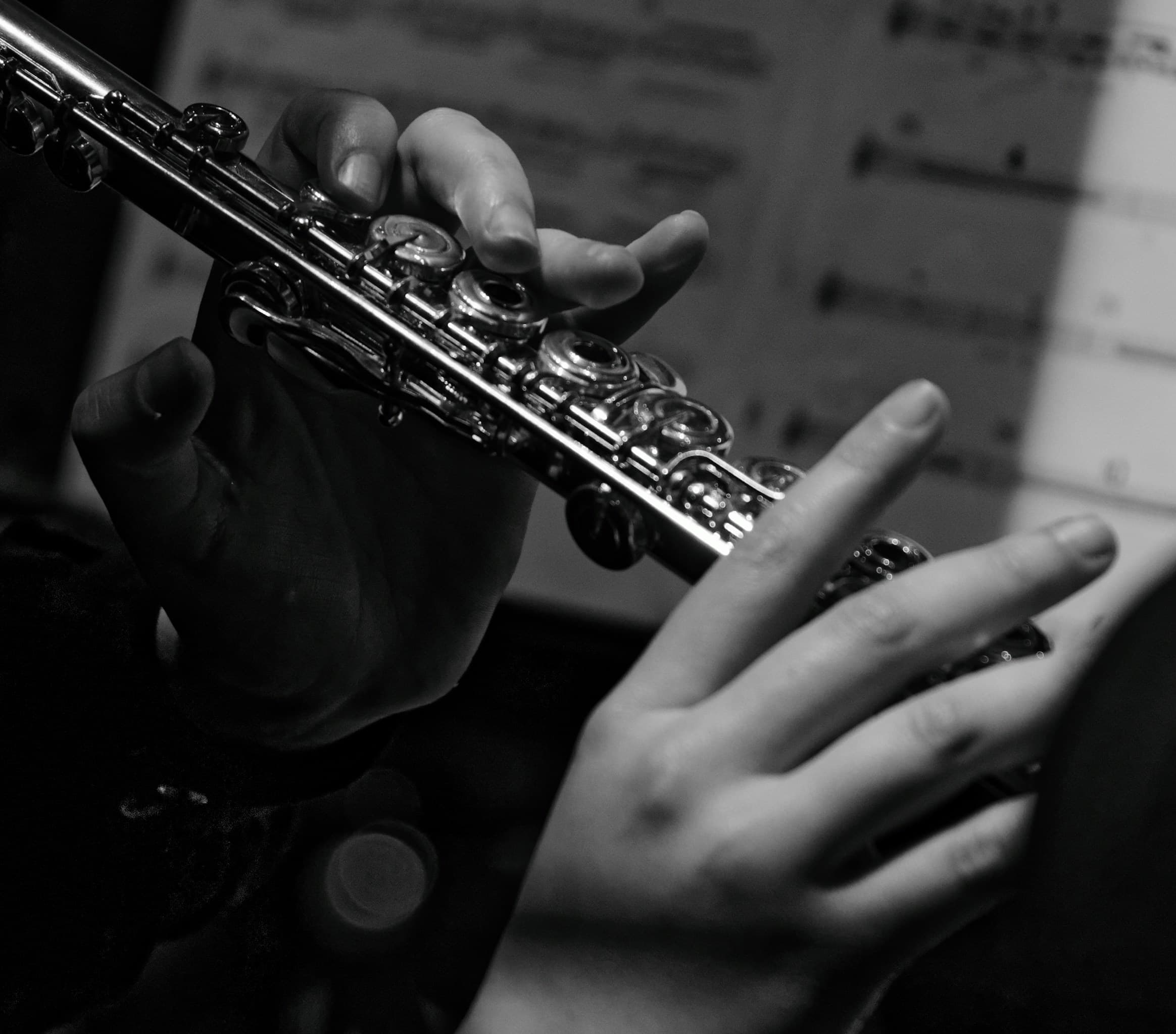 Flute & Harmonicas