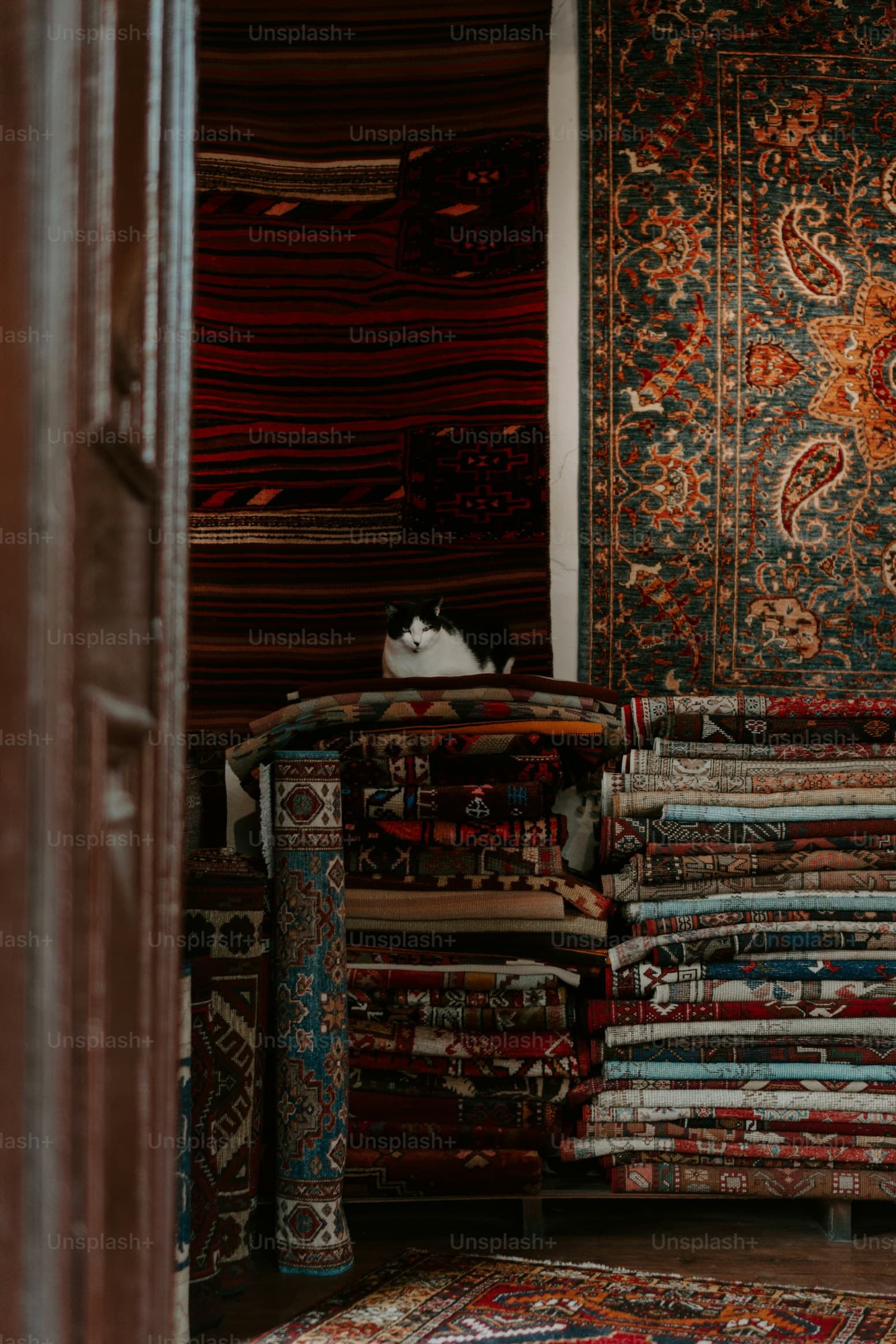 Area Rugs & Carpets