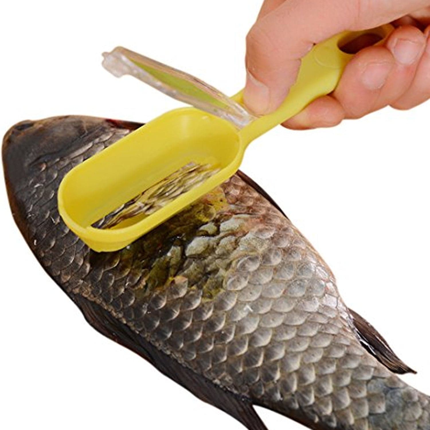 Effortless Fish Cleaning: Scraper, Grater & Brush in One (1 Pc) thumbnail 3