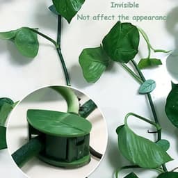Plant Climbing Wall Fixture Clip Self-Adhesive Hook Vines (30 Pcs Set)