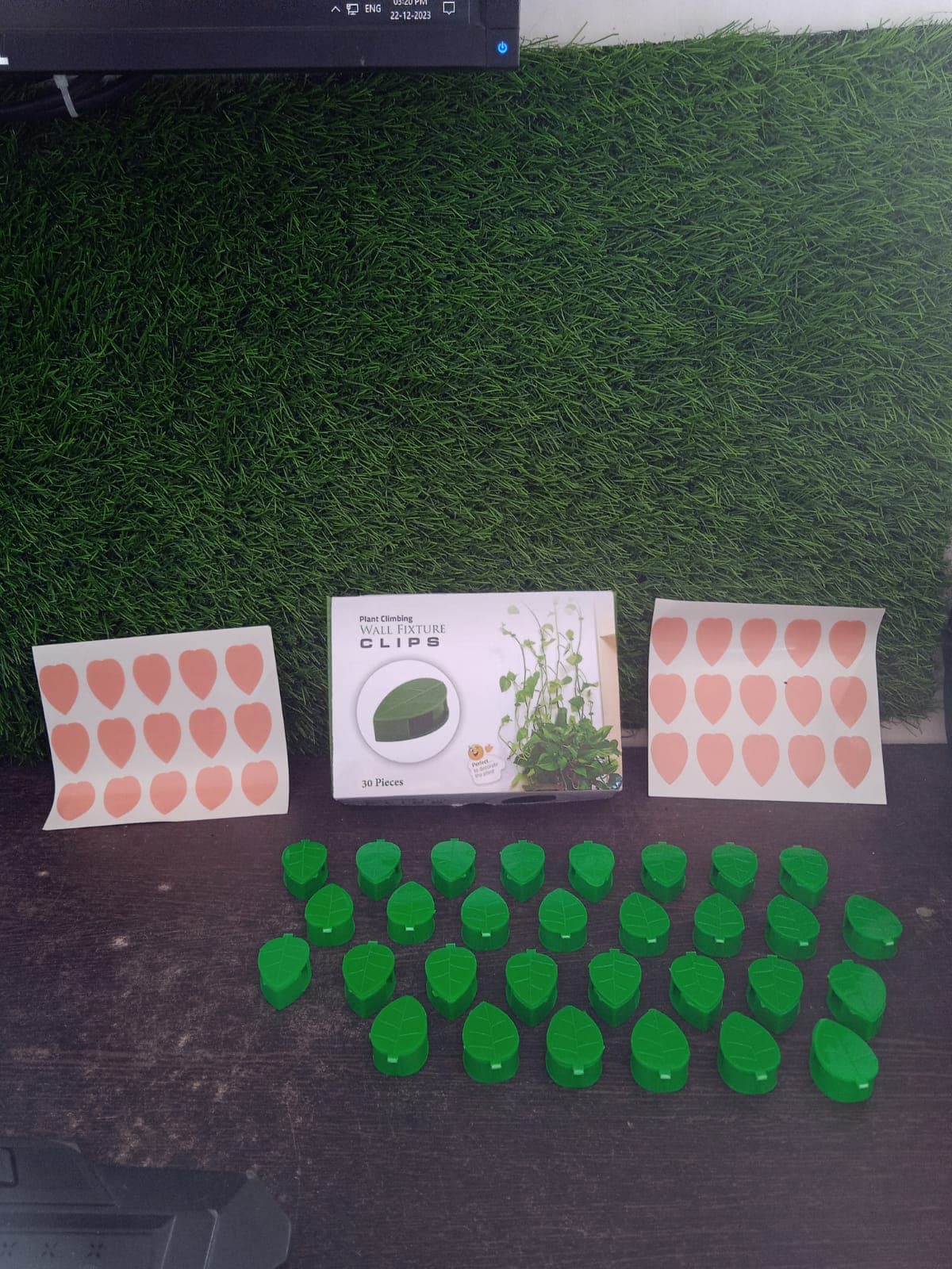 Plant Climbing Wall Fixture Clip Self-Adhesive Hook Vines (30 Pcs Set) thumbnail 10