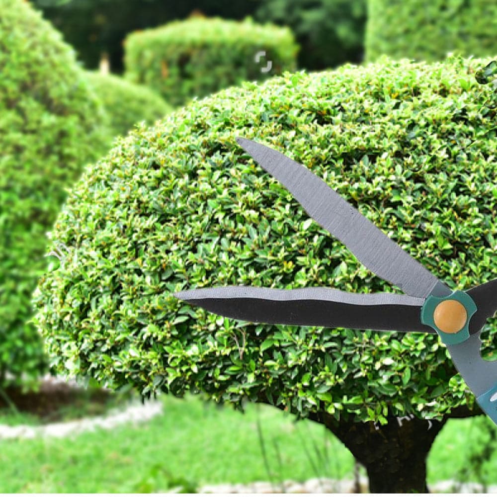 Garden Big Scissor thumbnail 1