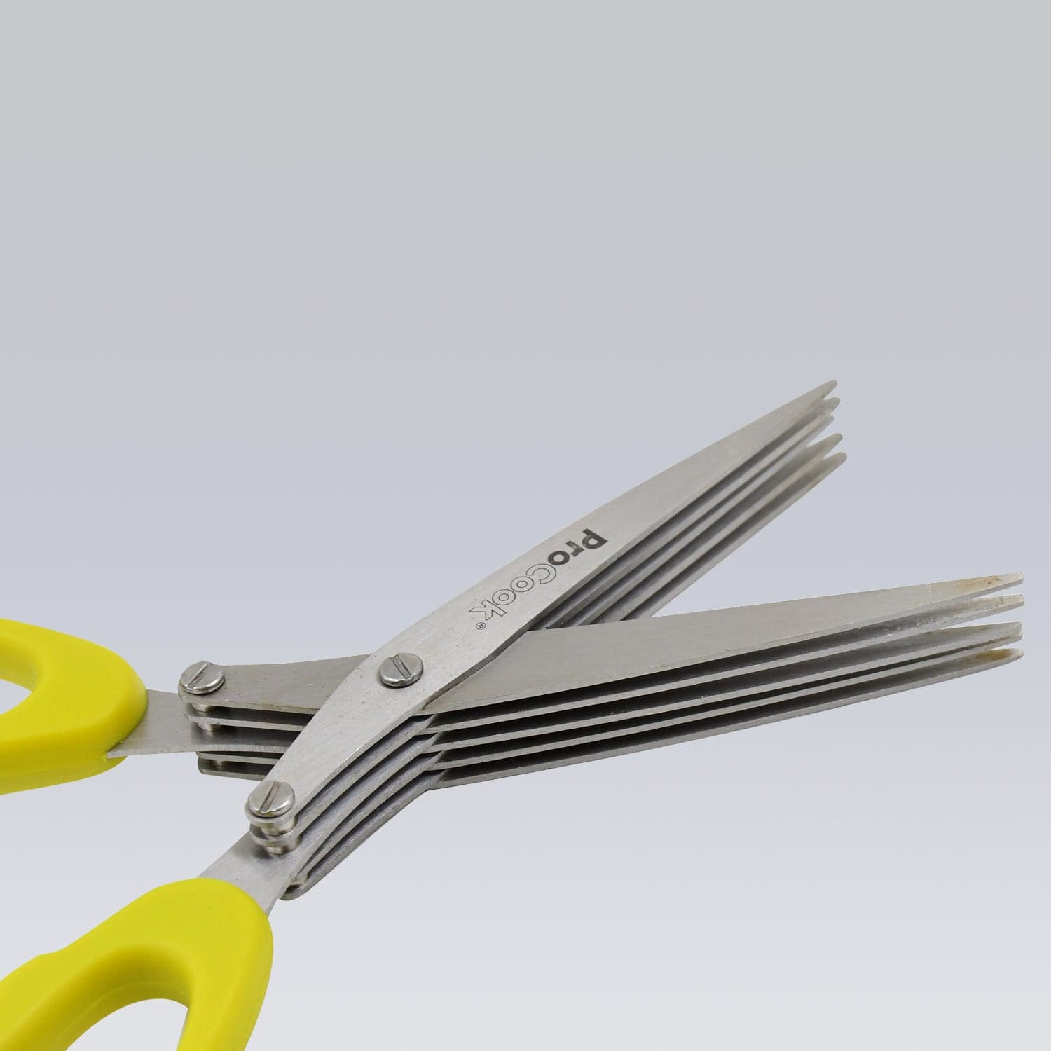 Multifunction Vegetable Stainless Steel Herbs Scissor with 5 Blades (1 Pc) thumbnail 4