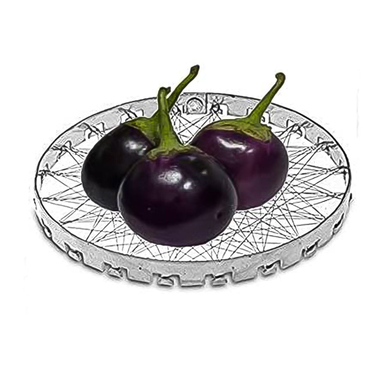 Stainless Steel Grill Jalli, Chota Tandoor thumbnail 5