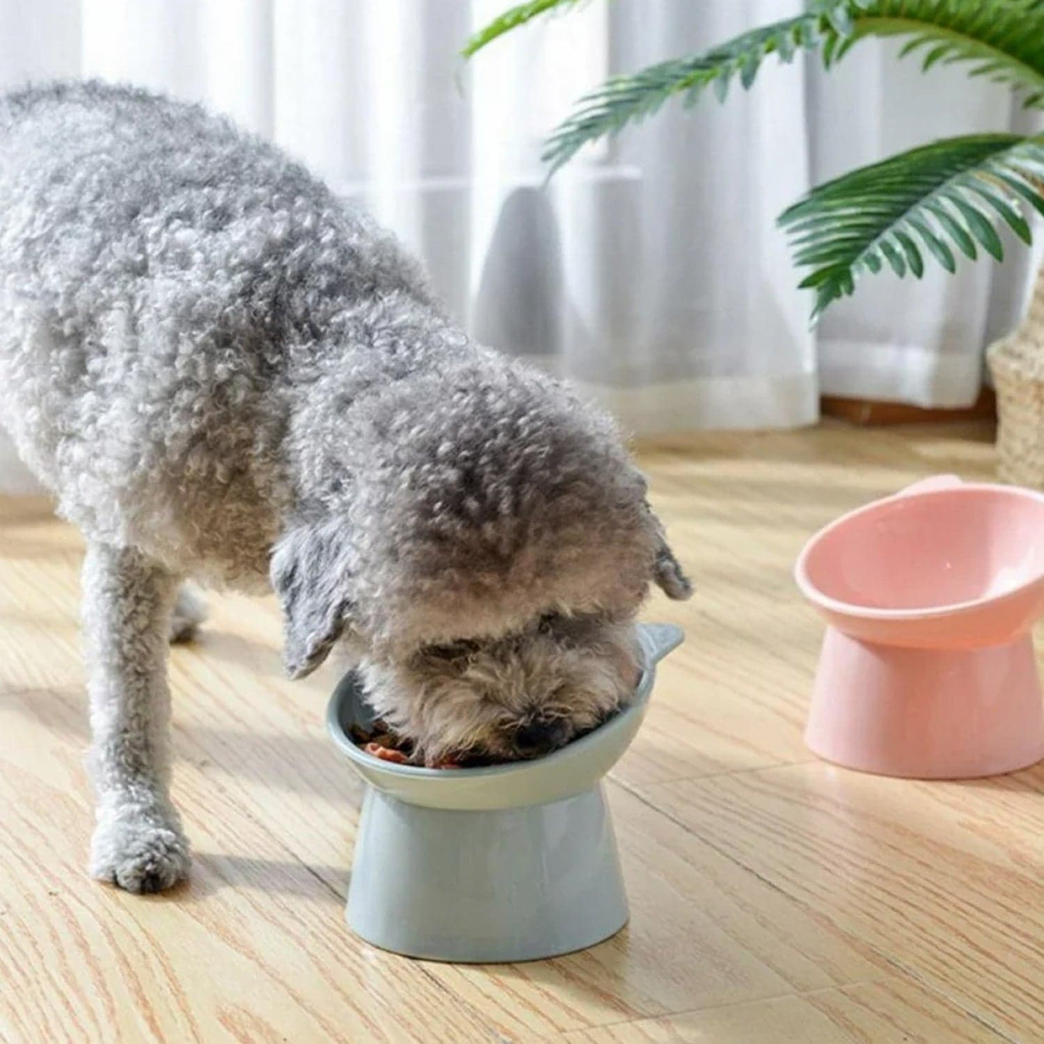 Plastic Multipurpose Bowl, Food Bowls (1 Pc) thumbnail 3