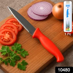 Stainless Steel Serrated Kitchen Knife 1 Pc