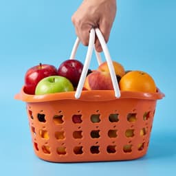 Plastic Storage Basket with Handle the Durable & Lightweight for Home & Shopping