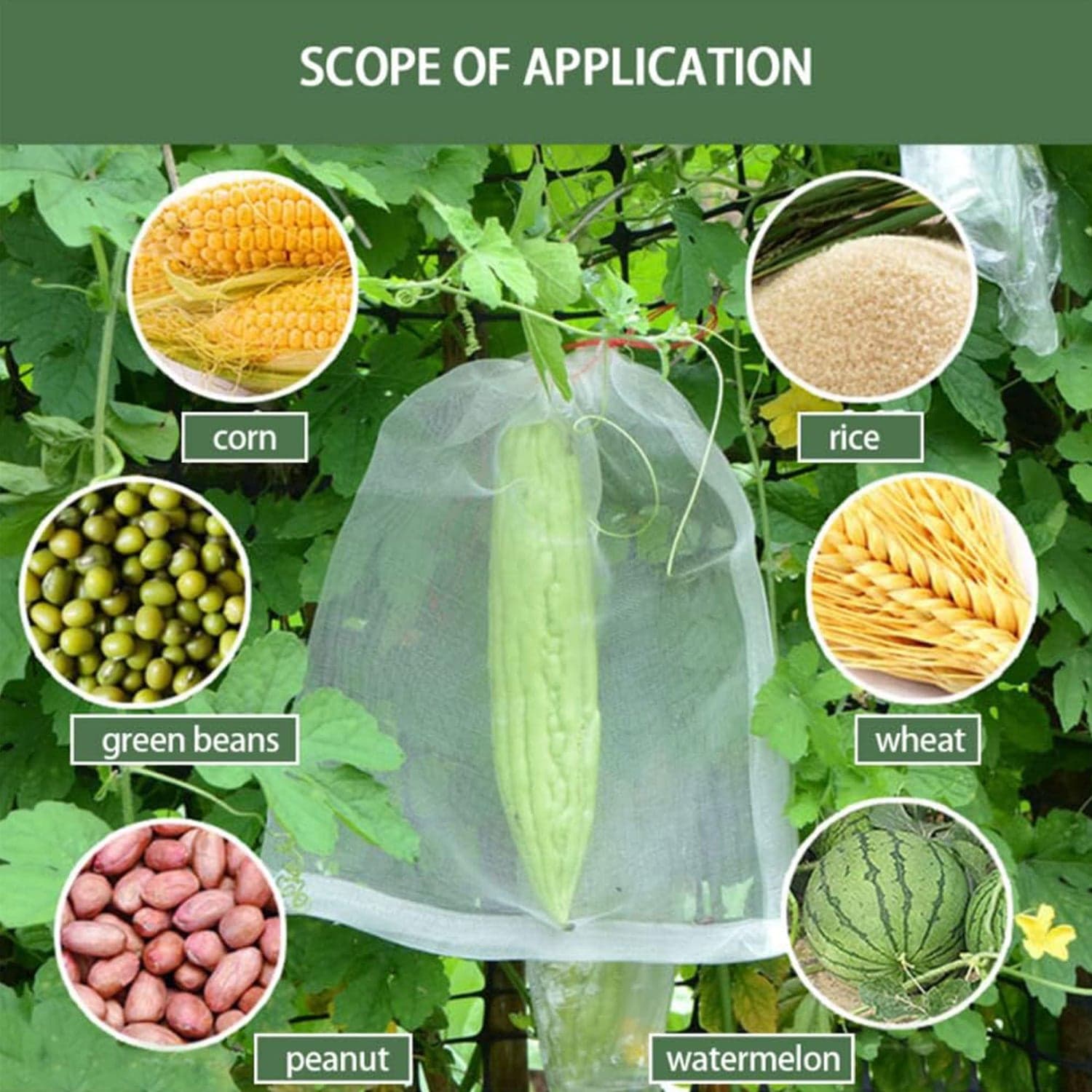 Protective Garden Barrier Cover for Bag, Plants, Grapes, Figs, Flowers, and Vegetables thumbnail 8