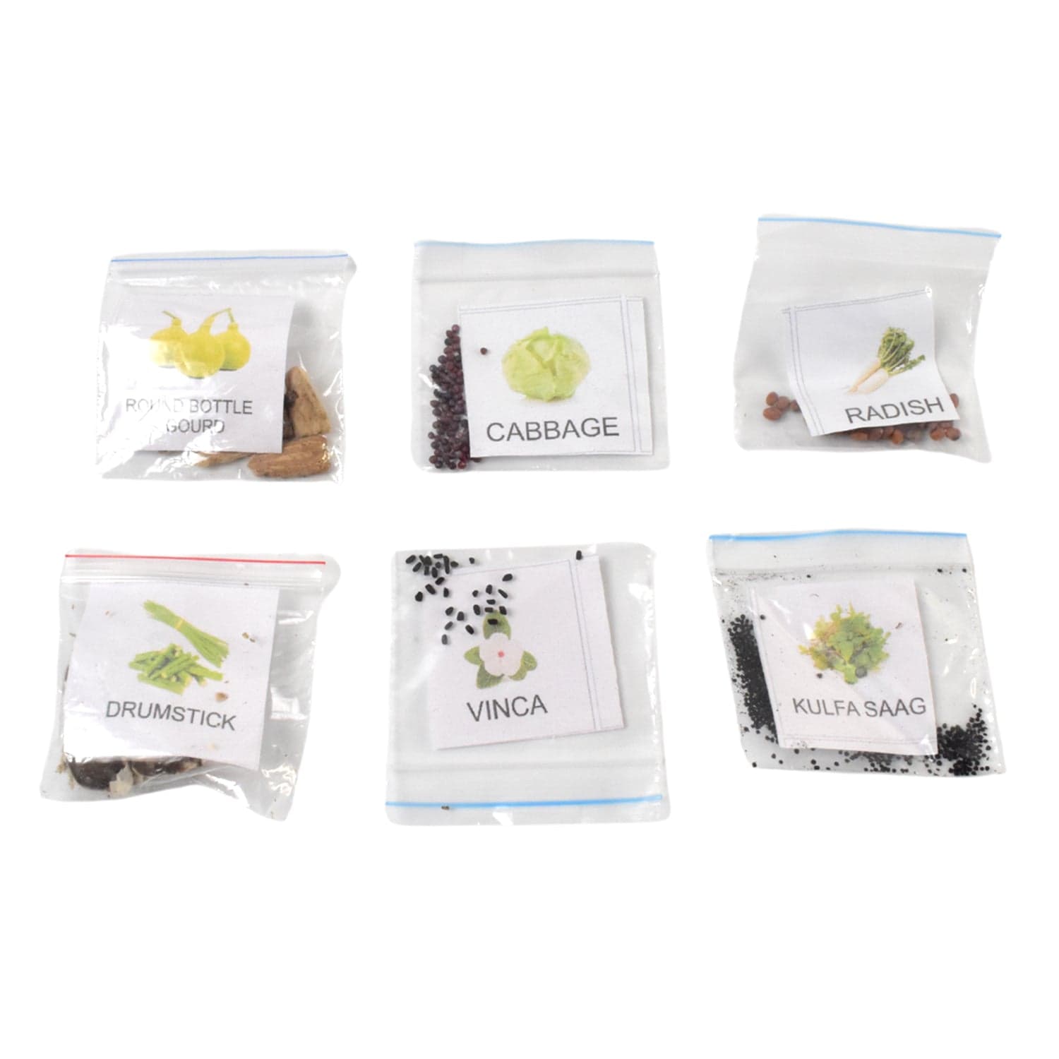 20 Varieties of Vegetable & Flower Seeds Combo (1 Pkt. / 20 Varieties) thumbnail 5