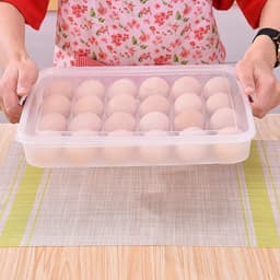 Plastic Egg 24 Grid Storage Container Holder