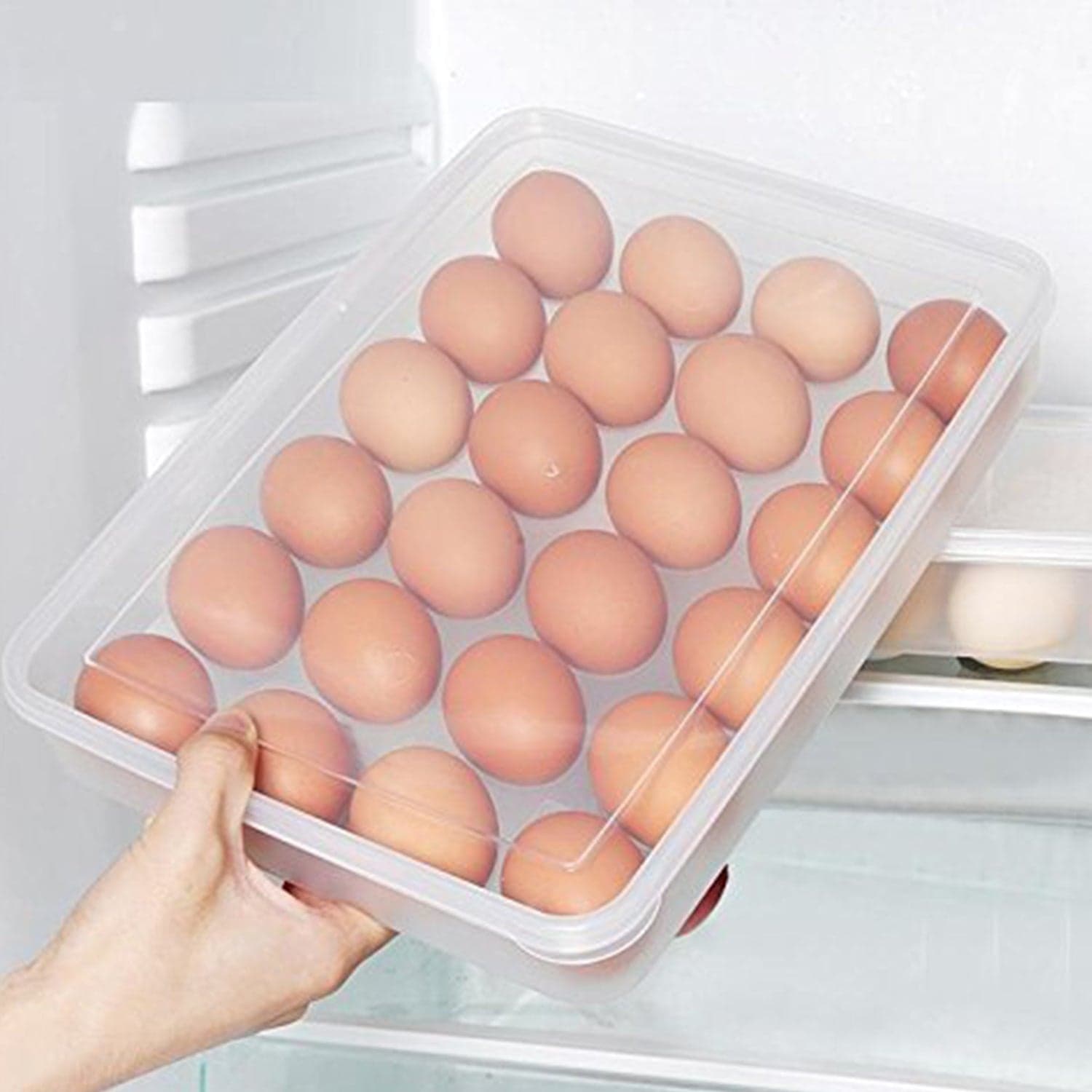 Plastic Egg 24 Grid Storage Container Holder thumbnail 4