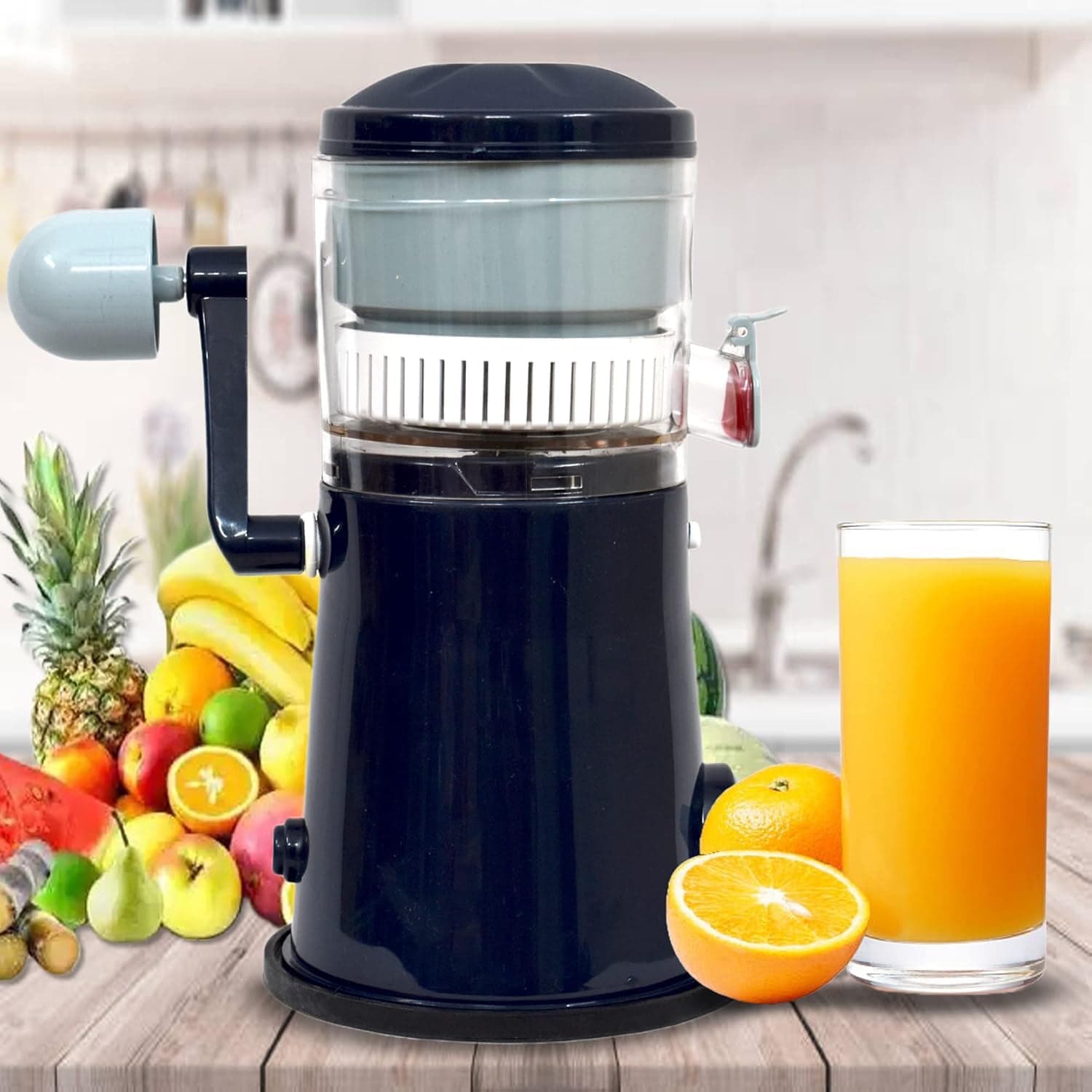 Ritu Rapid Juicer J331 thumbnail 3