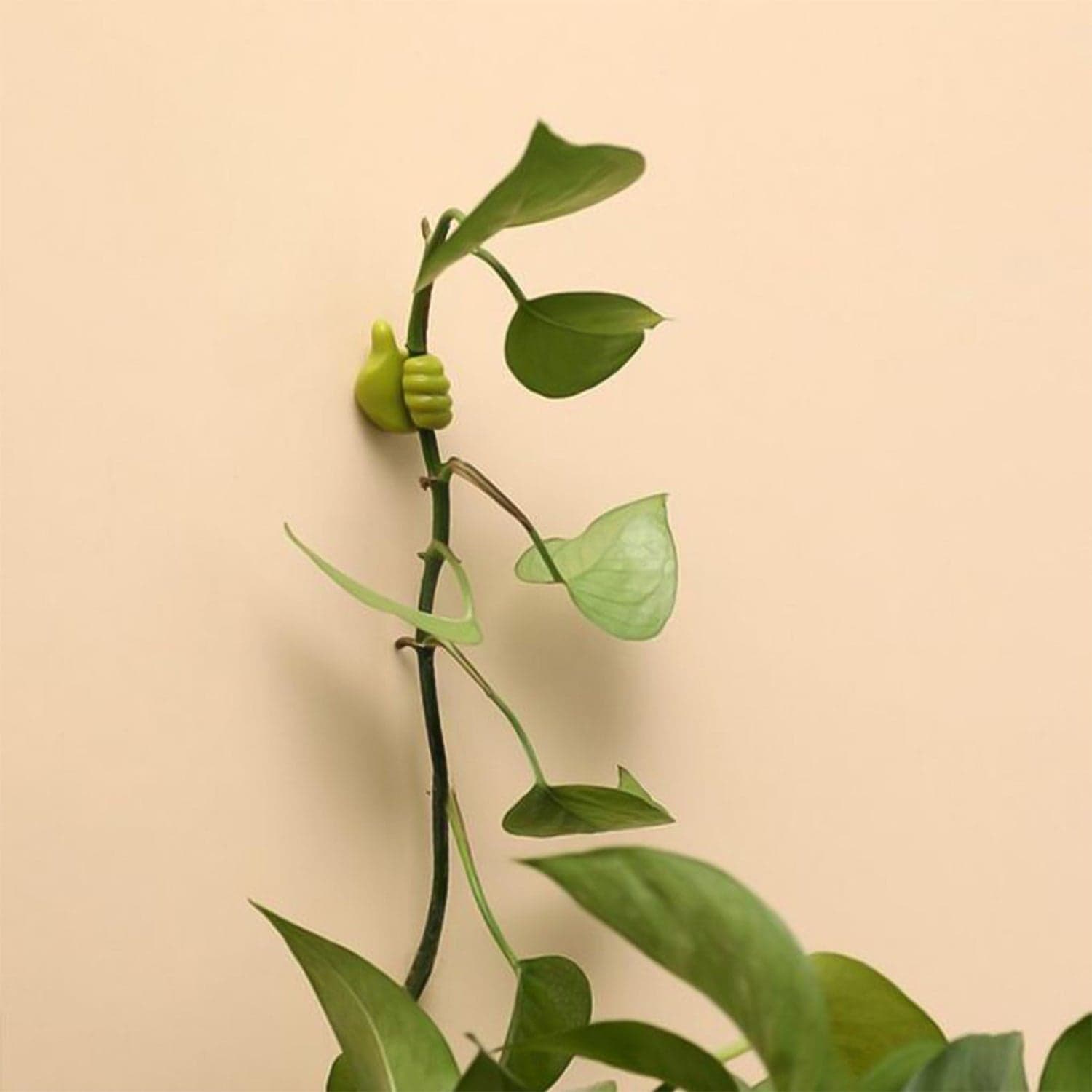 12442 Green Thumb Shape Wireholder 1Pc thumbnail 2