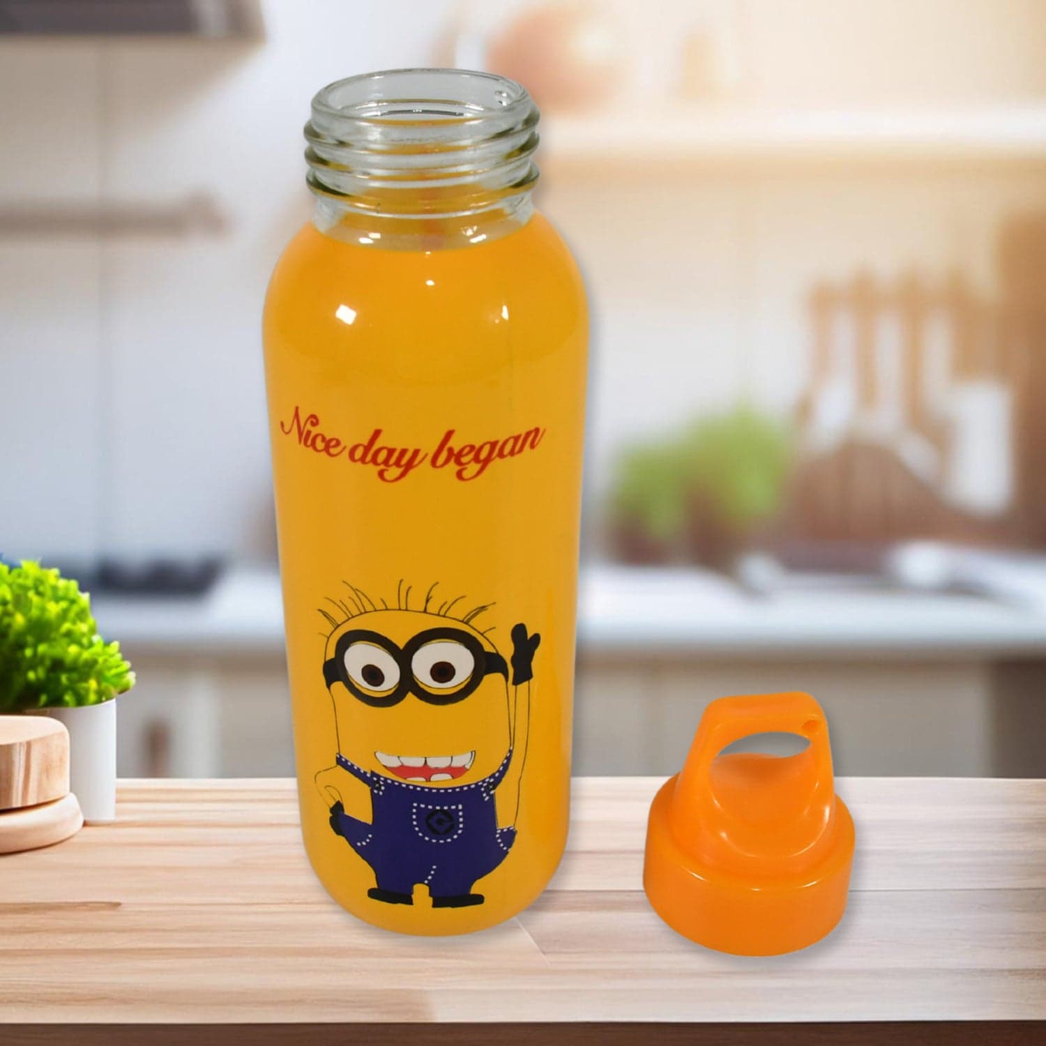 PORTABLE GLASS WATER BOTTLE, CREATIVE GLASS BOTTLE WITH GLASS WATER ( Mix Design) thumbnail 4