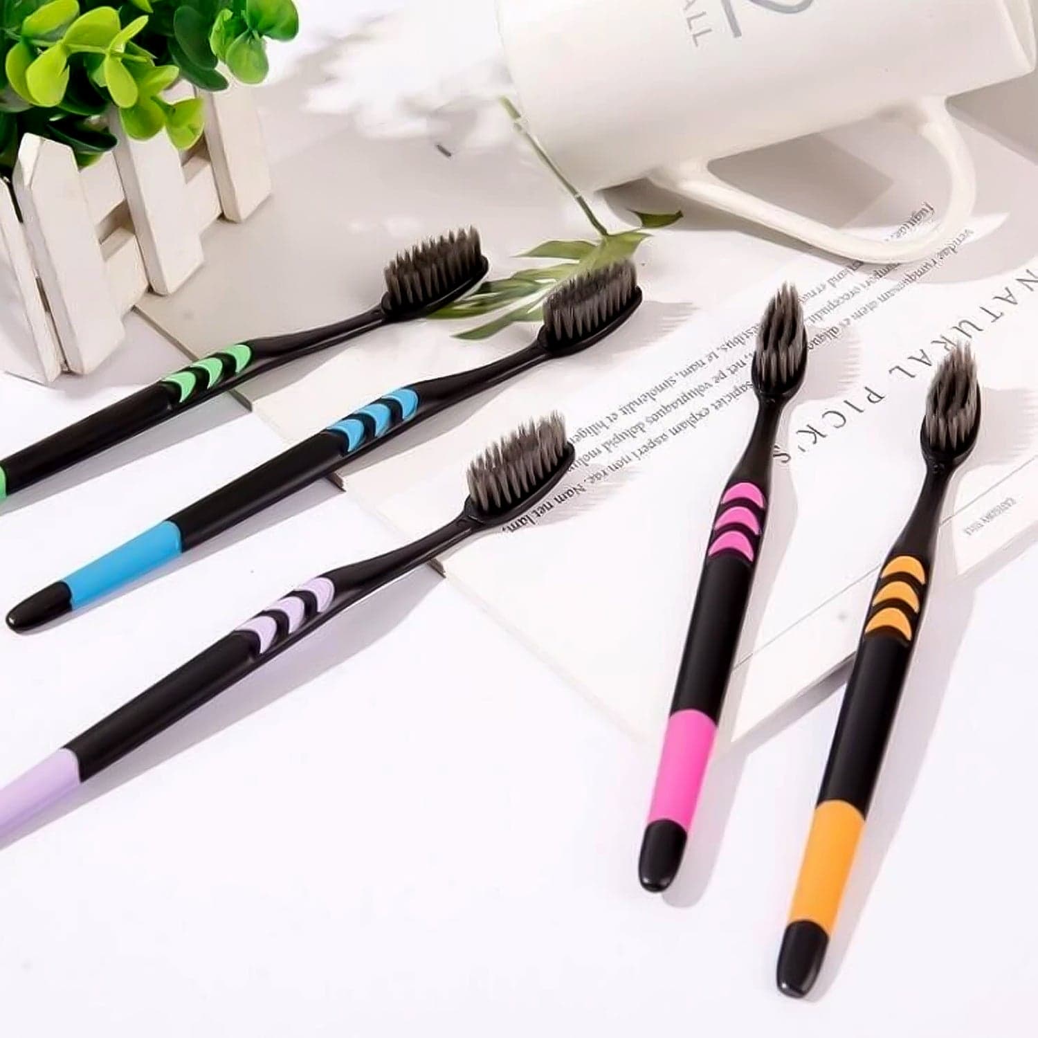 Soft Toothbrush With Plastic Round Box For Men And Women thumbnail 8