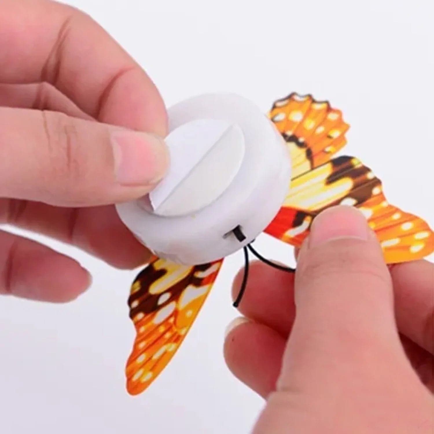 The Butterfly 3D Night Lamp Comes with 3D Illusion Design (1 Pc / Loose) thumbnail 6