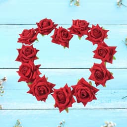 Flower Rose Hair Pin / Clip Velvet Flower Design (12 Pcs Set / Red Color Only)