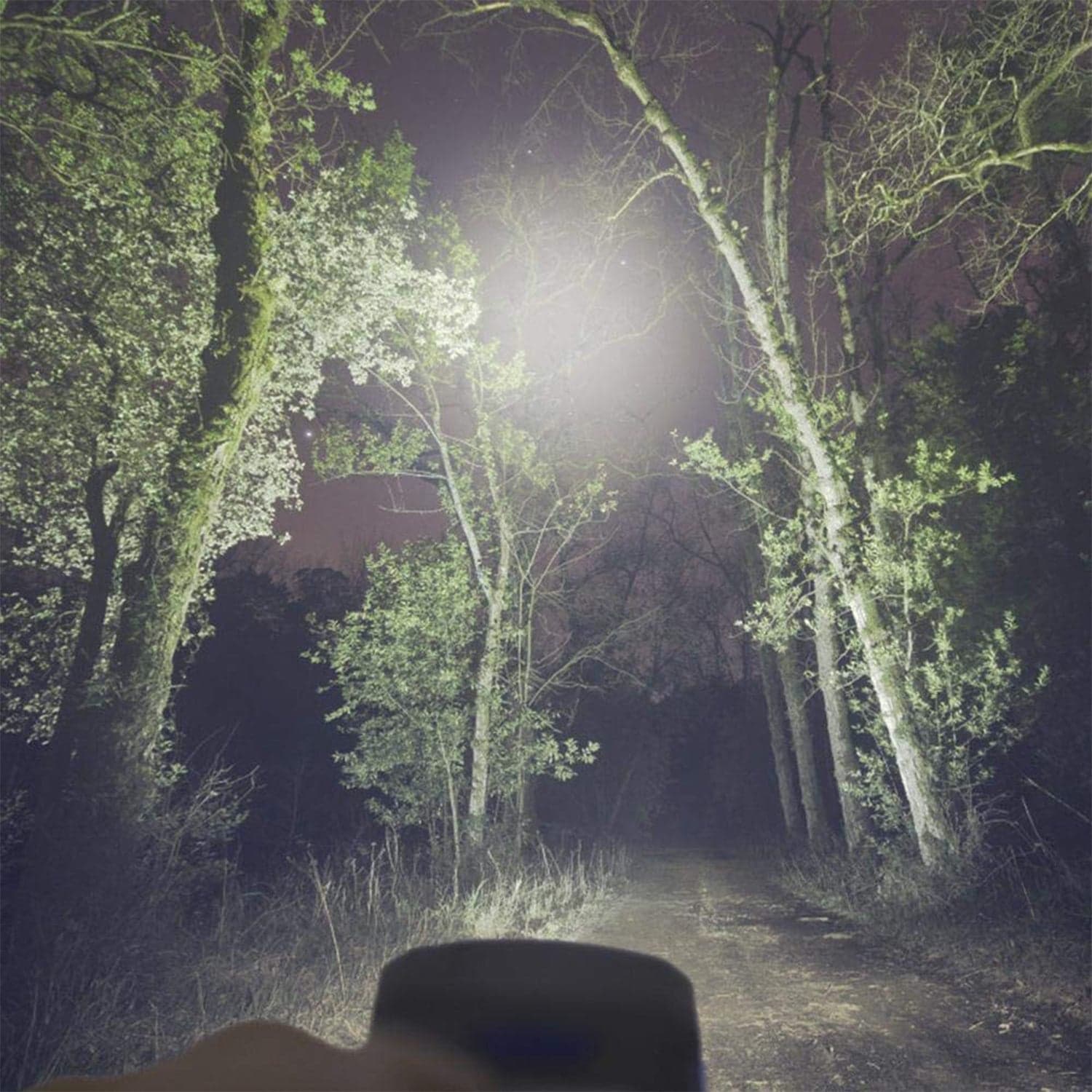 3W Cob Led Work Light 1 Pc thumbnail 2