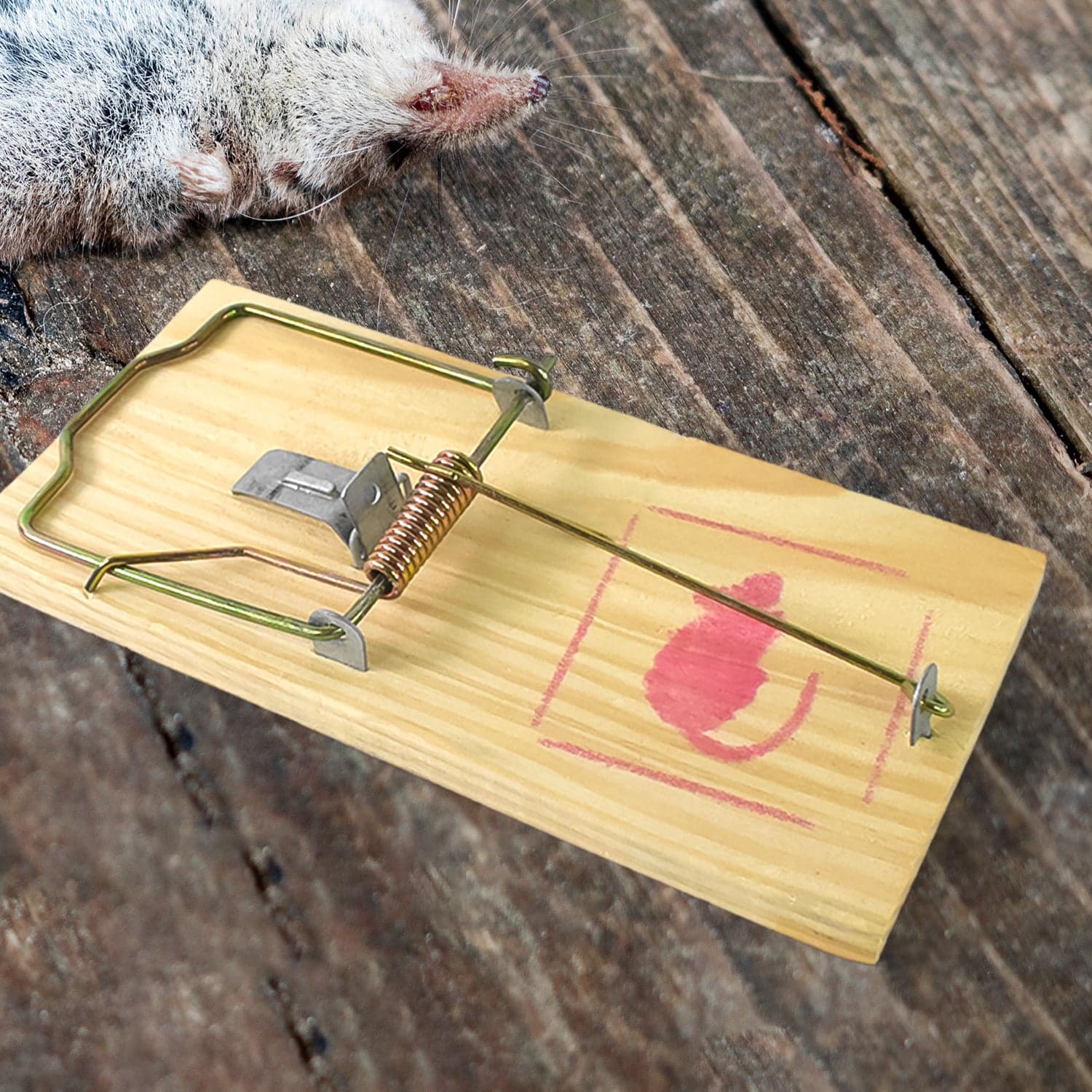 Wooden Mouse Rat Traps (1 Pc) thumbnail 3