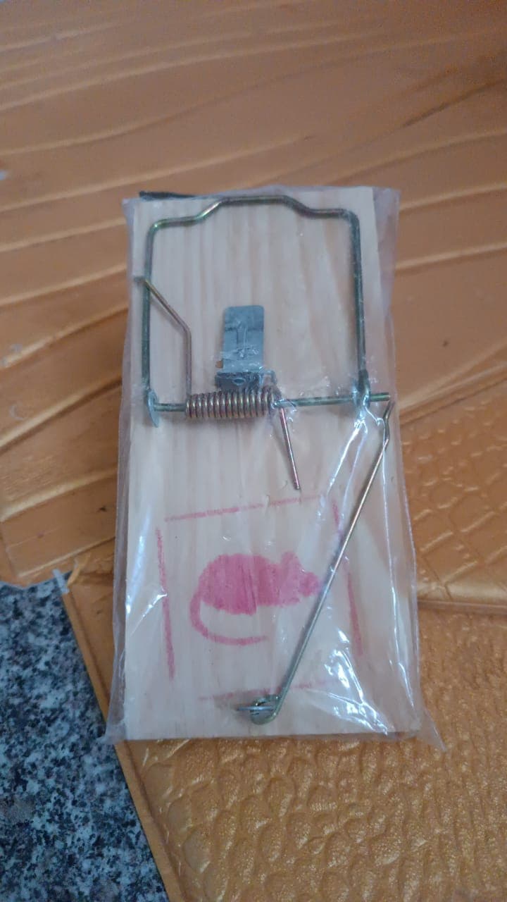 Wooden Mouse Rat Traps (1 Pc) thumbnail 7