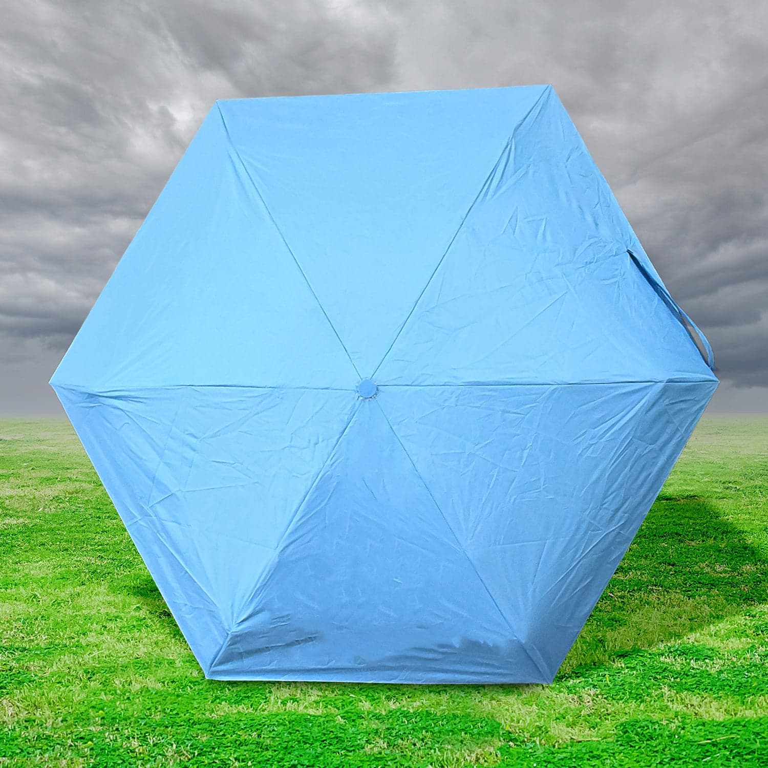 5 Fold Manual Open Umbrella With Capsule Case (1 Pc) thumbnail 6