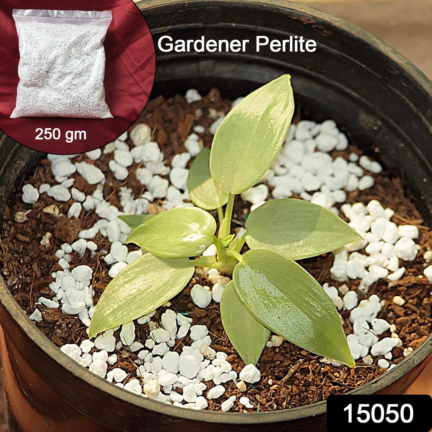 Paradise Perlite for Hydroponics &amp; Horticulture Terrace Gardening Soil Conditioner (250 GM) thumbnail 4