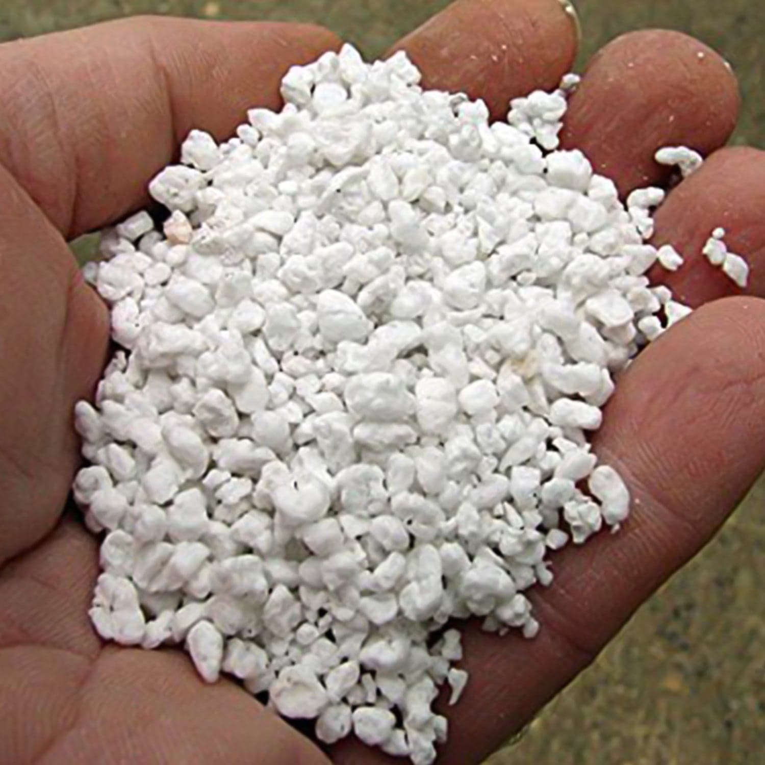 Paradise Perlite for Hydroponics &amp; Horticulture Terrace Gardening Soil Conditioner (250 GM) thumbnail 5