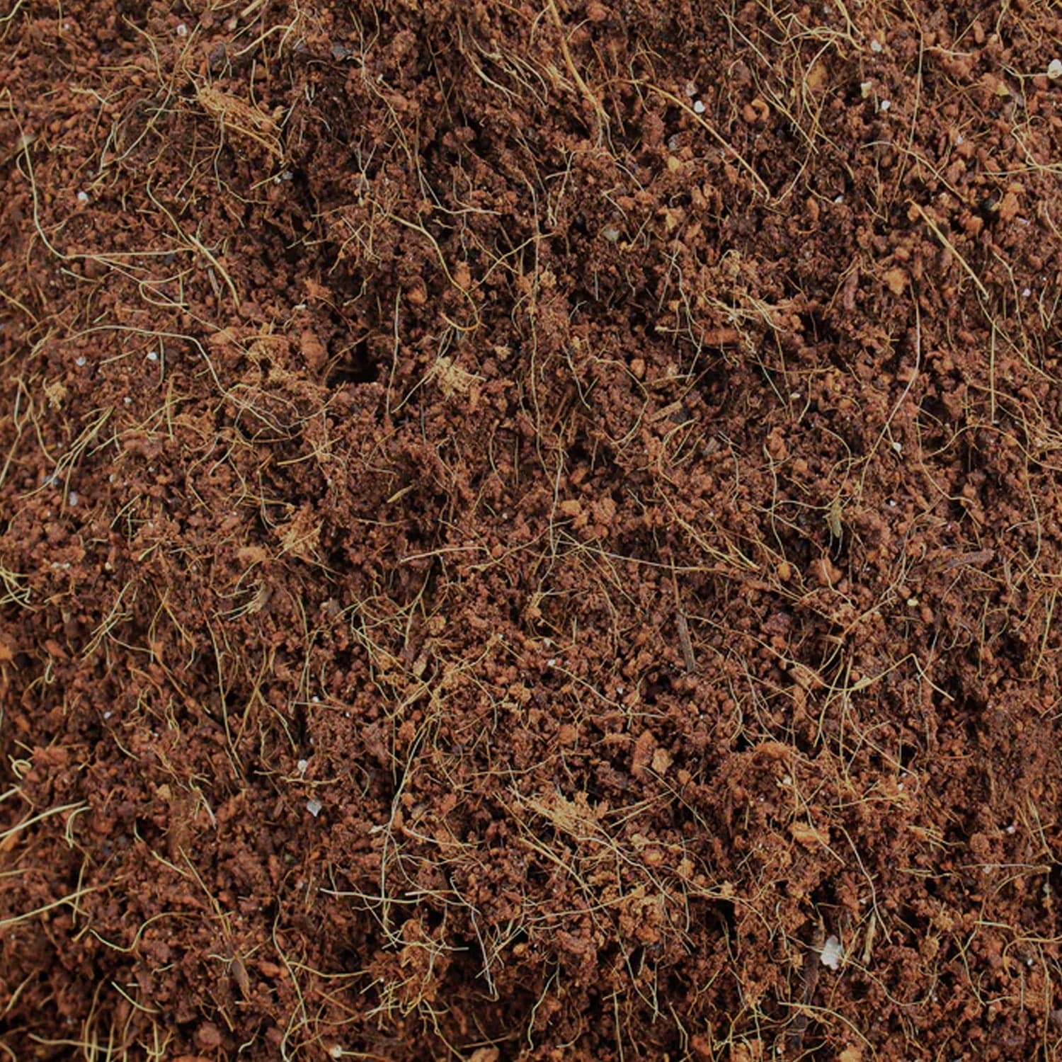 Cocopeat Block Organic Fertilizer and Soil Manure Potting Mixture for Home Gardening and Potted Plants (1 KG.) thumbnail 6