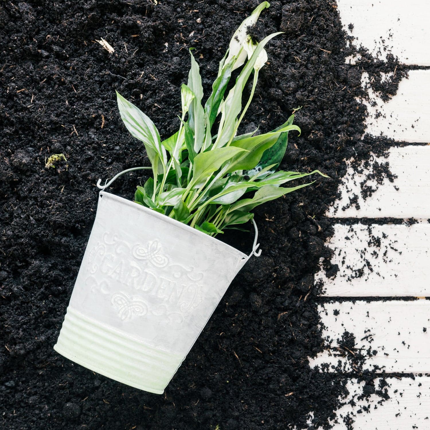 Organic Vermicompost Black Soil for Plants Health Manure (1 KG Approx) thumbnail 8