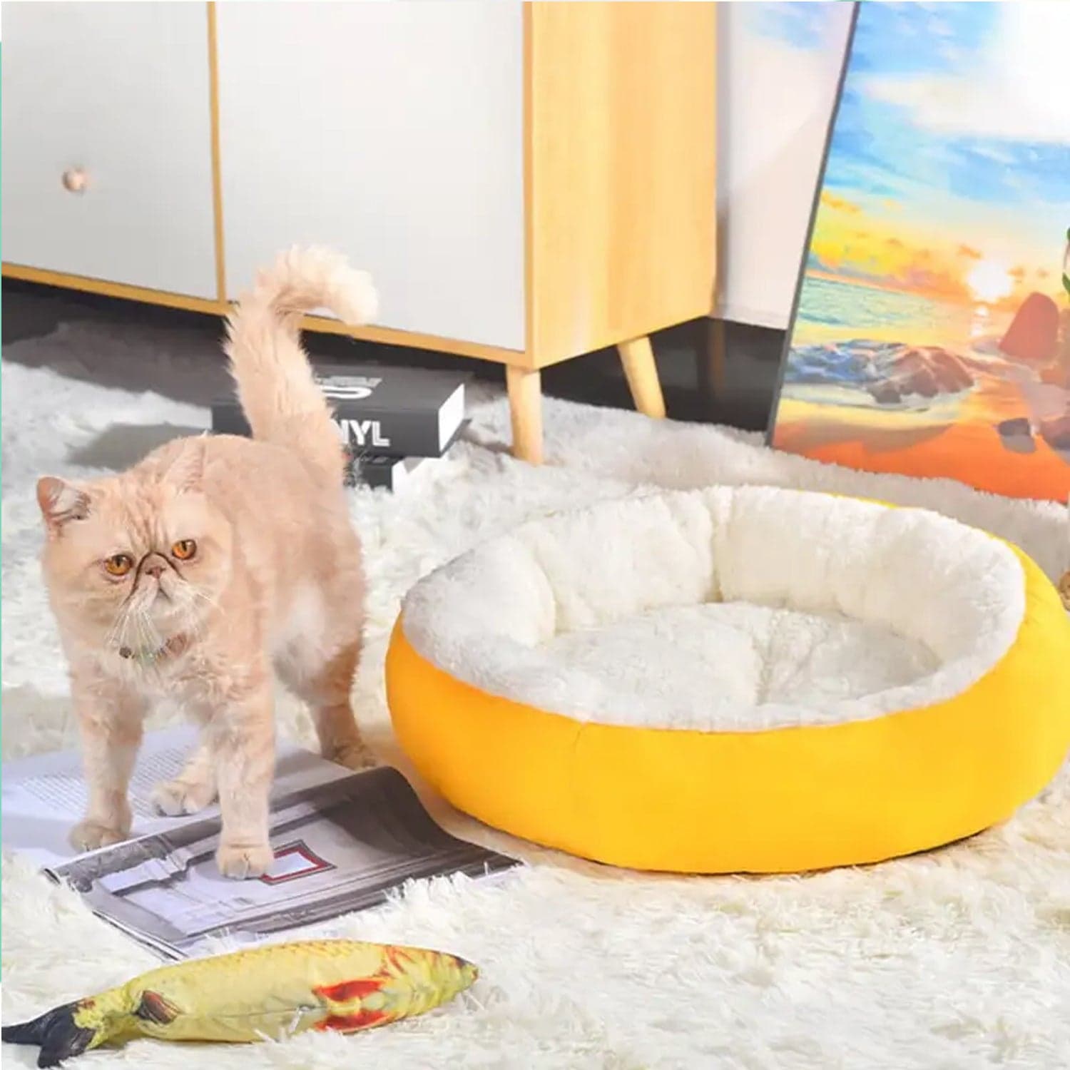 Pet Dog Bed General Thickening Dog Mat (1 Pc / Mix Design & Color) thumbnail 6
