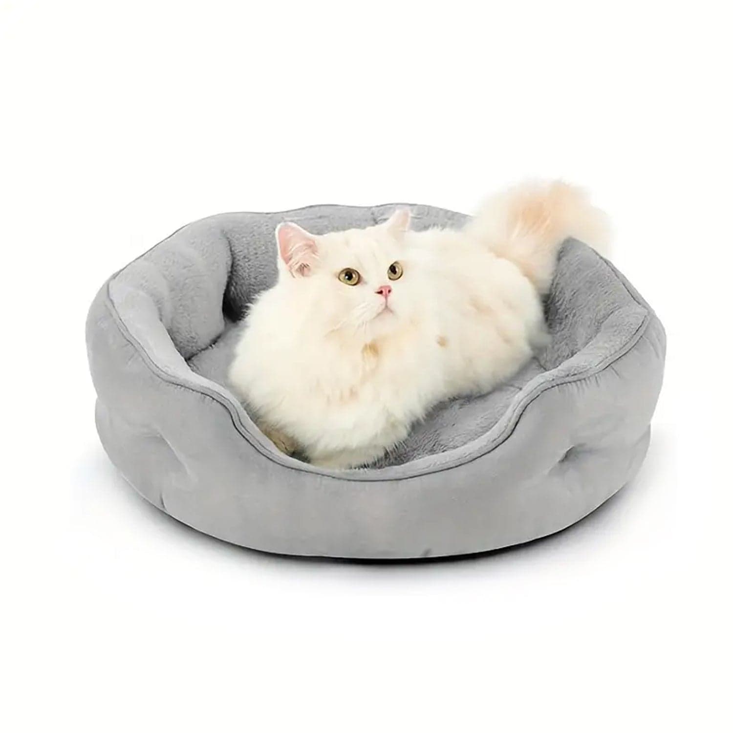 Pet Dog Bed General Thickening Dog Mat (1 Pc / Mix Design & Color) thumbnail 7