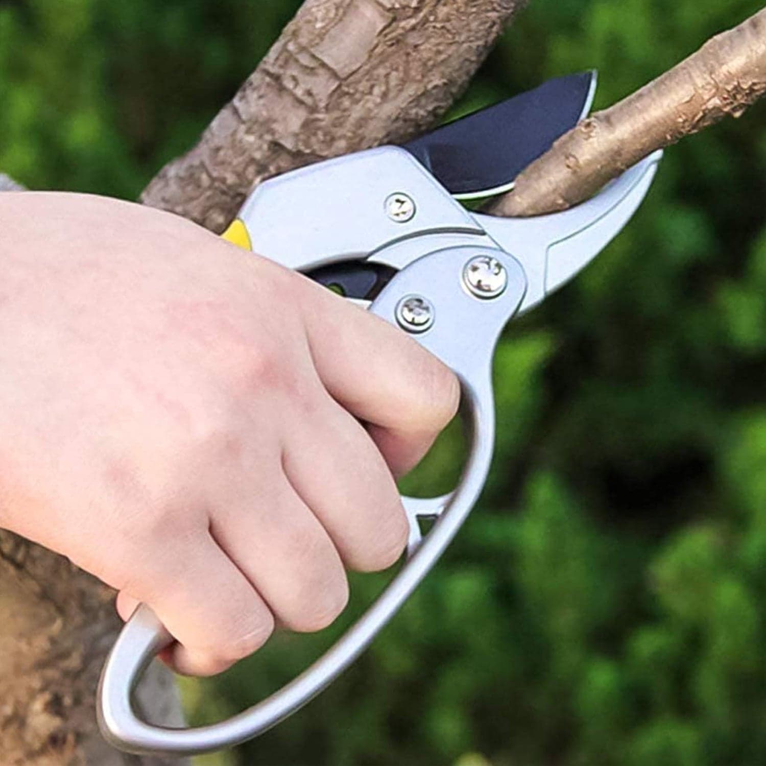 Gardening Shears, Enhanced Garden Shears Pruning Machine (200 MM / 1 Pc) thumbnail 4