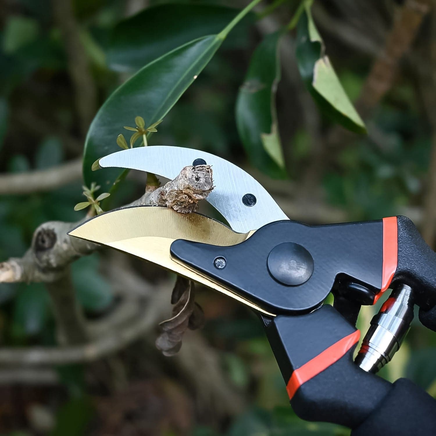 Heavy Duty Garden Pruning Shears the Sharp Stainless Steel Blades for Precise Cutting thumbnail 7