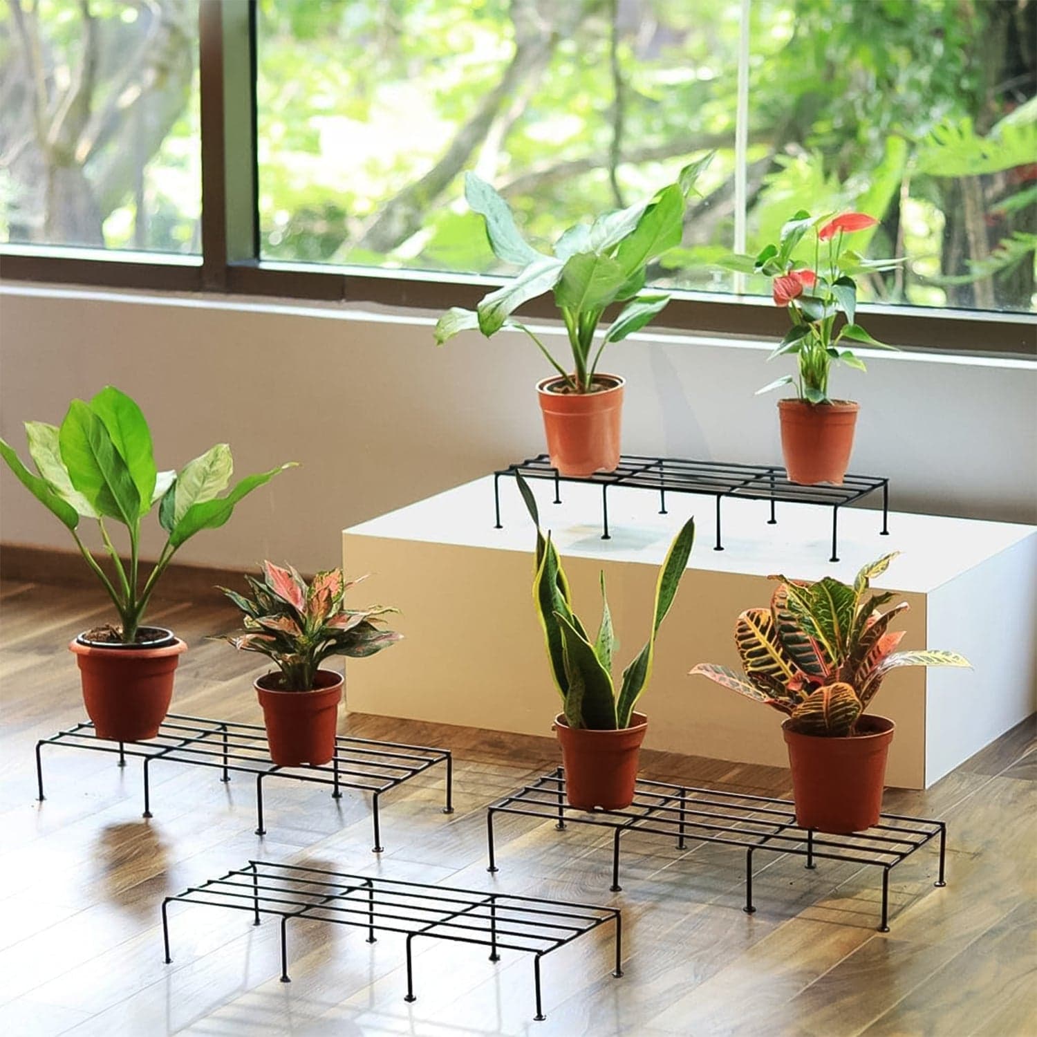 Metal Rectangle Flower plant stand for balcony (60—20 Cm / 2 Pc Set) thumbnail 3