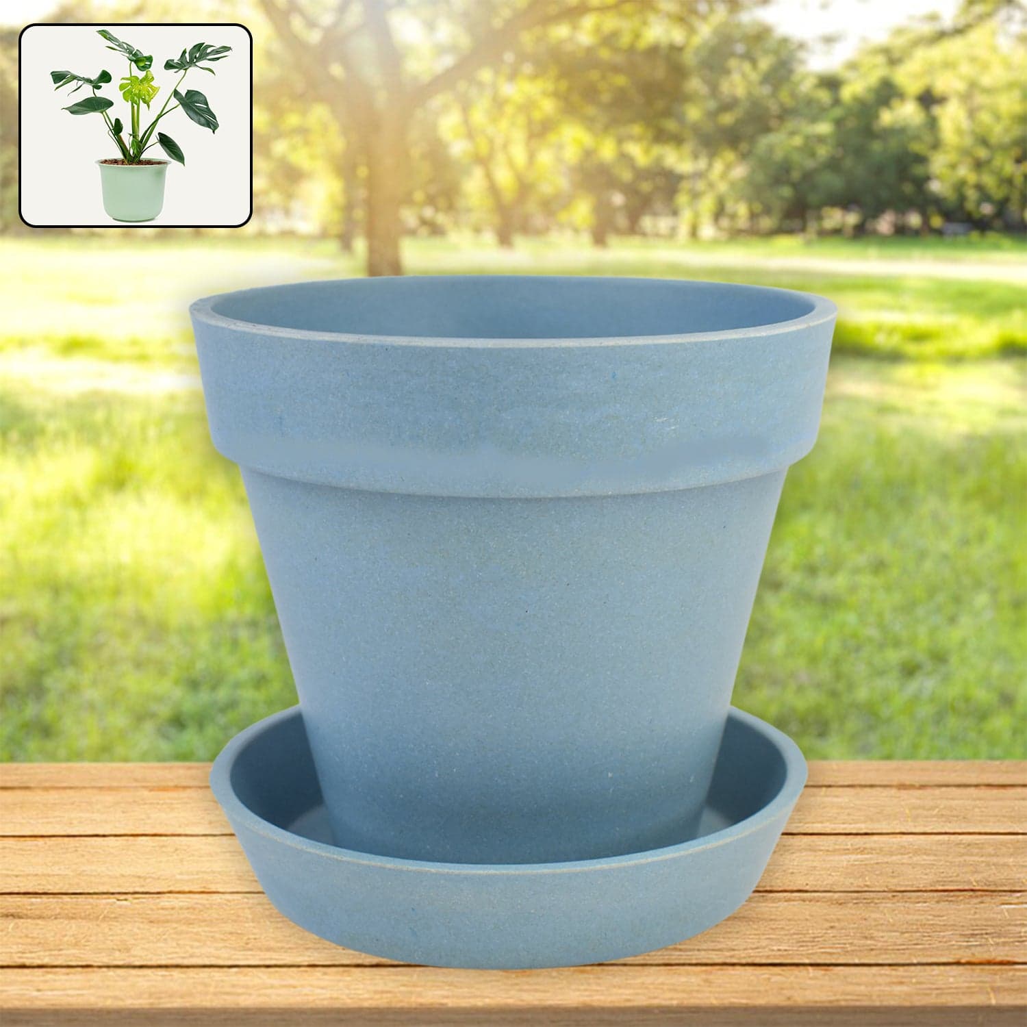 Heavy Plastic Flower pots With Tray (1 Pc) thumbnail 3