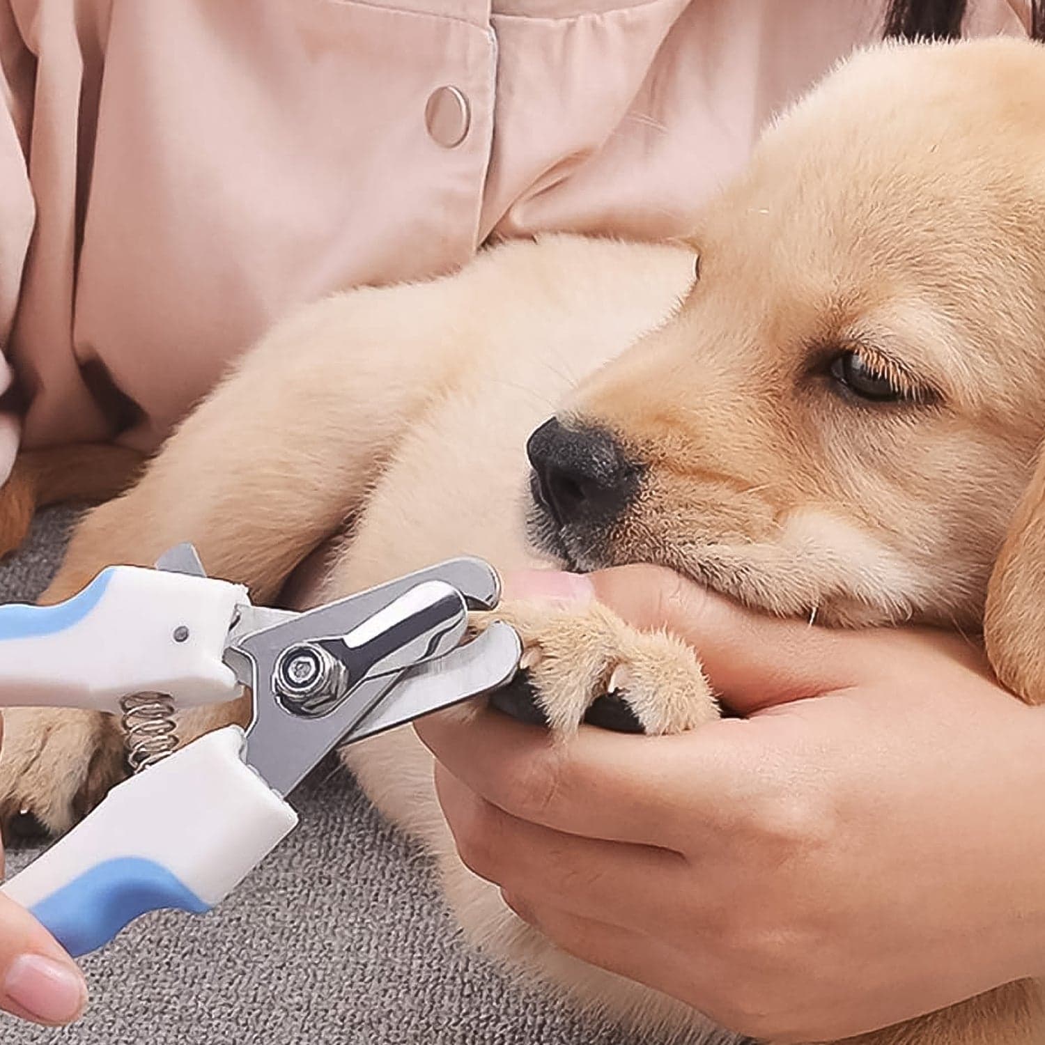 Pet Nail Clipper N File 2Pc thumbnail 3