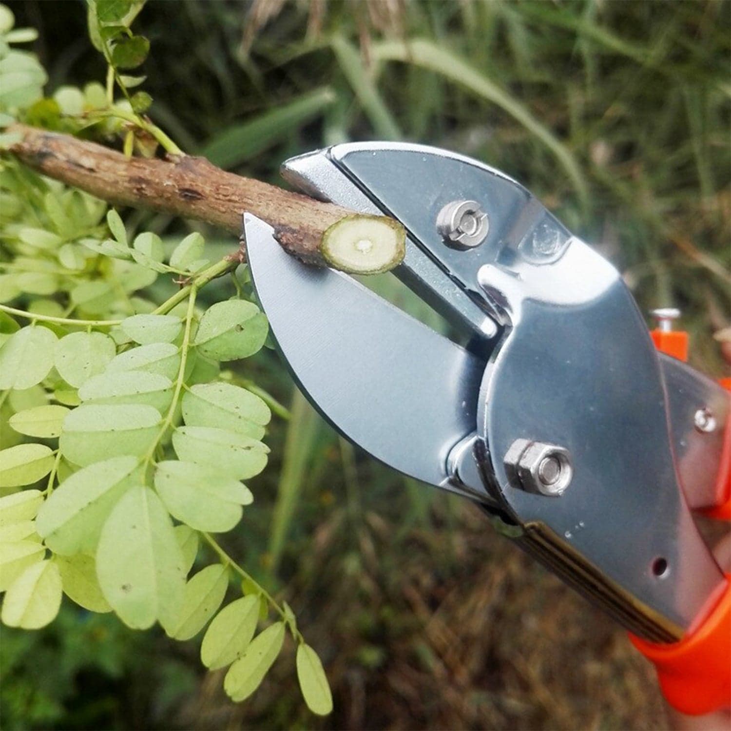 PROFESSIONAL GARDEN SCISSOR WITH SHARP BLADE COMFORTABLE HANDLE (18CM) thumbnail 3