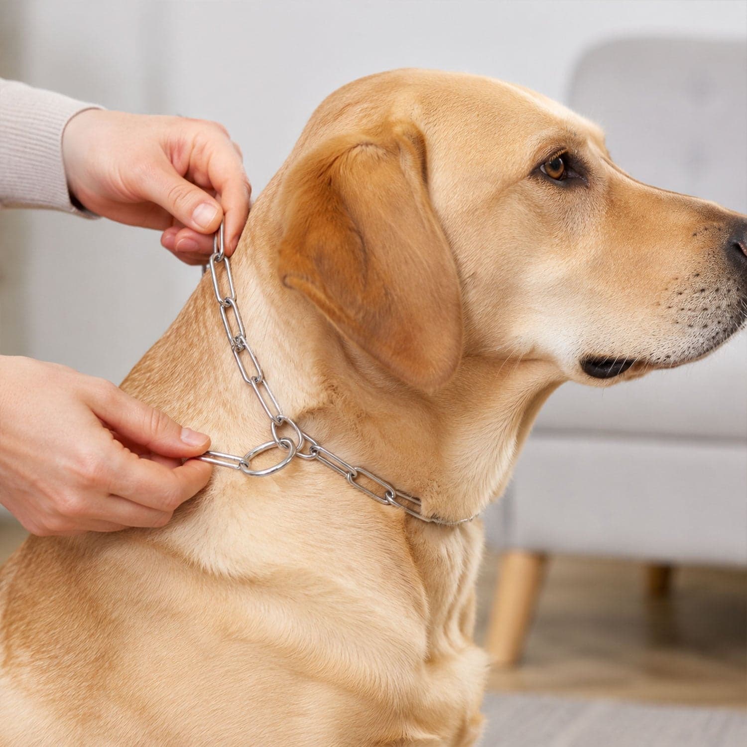 Heavy Duty Dog Chain Leash the Durable 67-inch Pet Tether for Control thumbnail 3