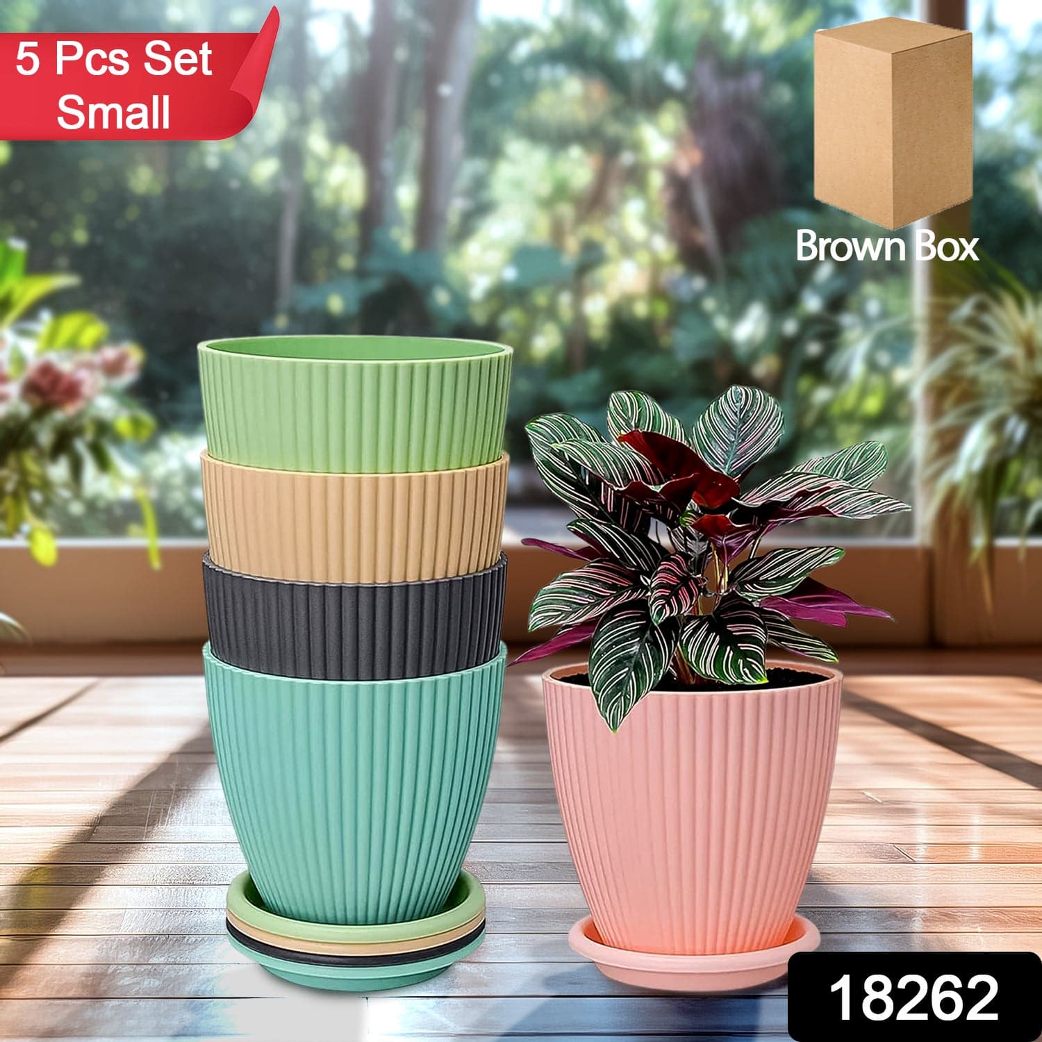 Round Flower Pot with Bottom Tray (5 Pcs Set / Small / 14—16 Cm) thumbnail 2