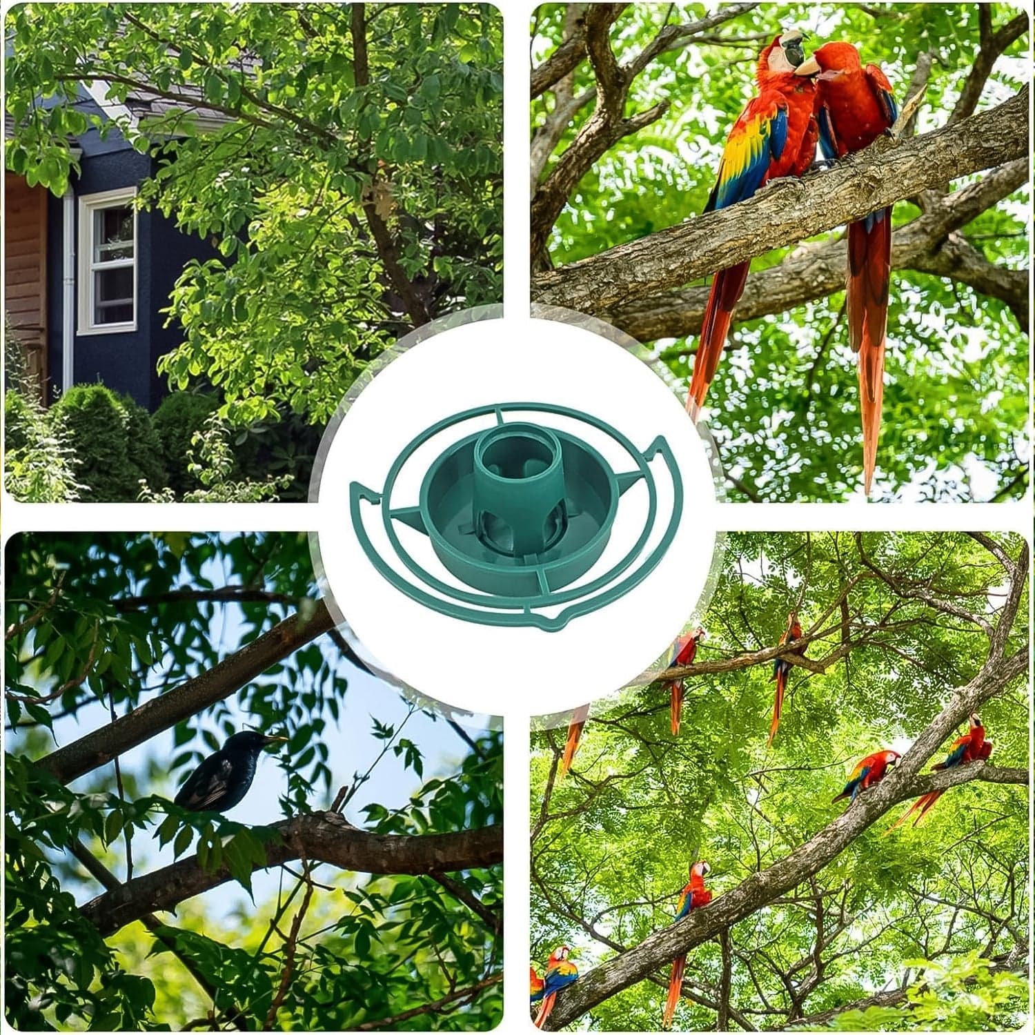 Outdoor Bird Feeder Hanging Plastic Hook (1 Pc) thumbnail 6