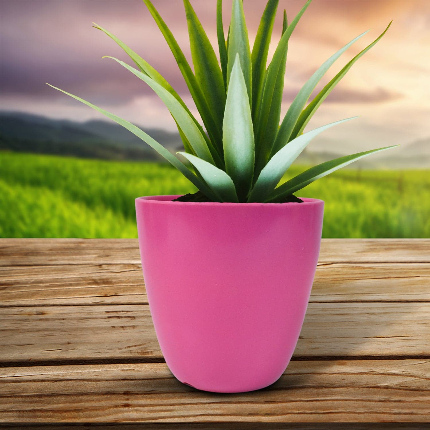 Plastic Flower Valencia (Pot) Home and Outdoor (1 Pc/Mix Colour) thumbnail 4