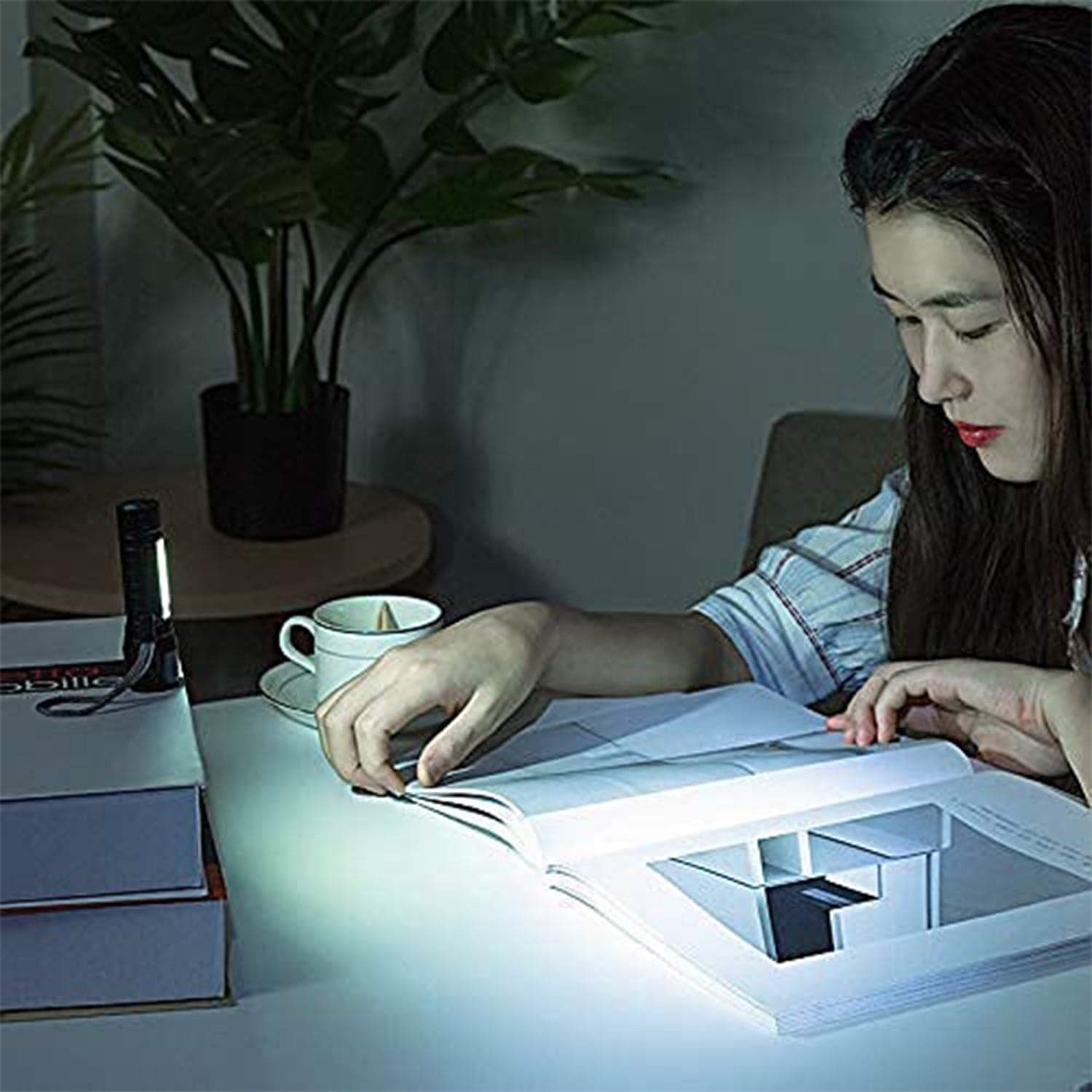 Mini 2 in 1 High Power Pocket Torch Light (1 Pc / Mix Design) thumbnail 3