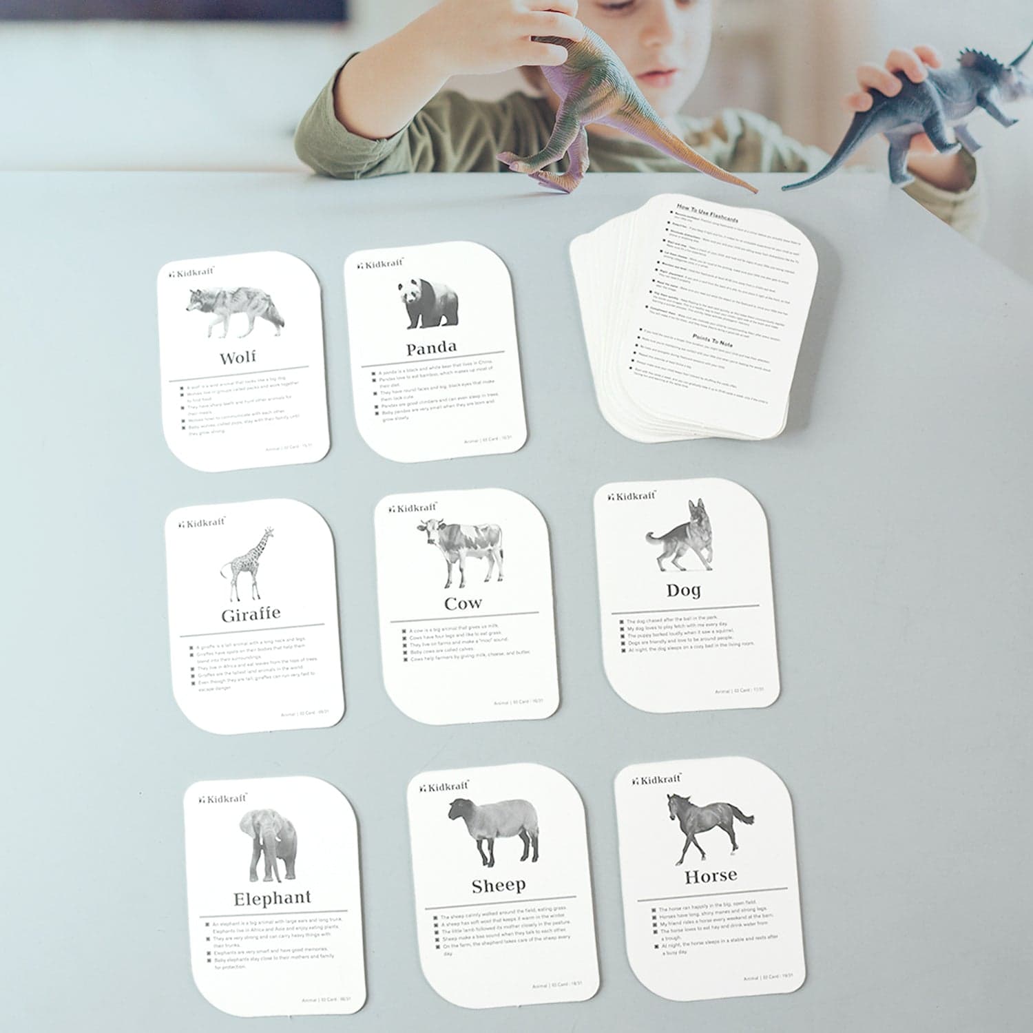 Kickkraft 32 Piece Animal Flash Cards Set thumbnail 3