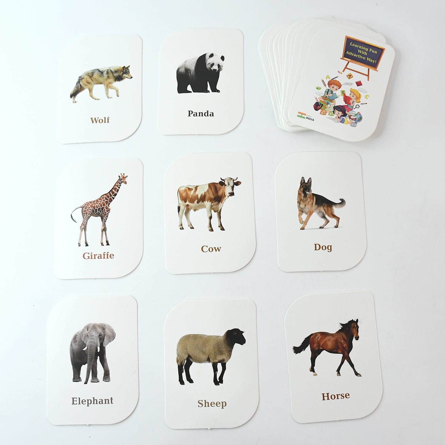 Kickkraft 32 Piece Animal Flash Cards Set thumbnail 4