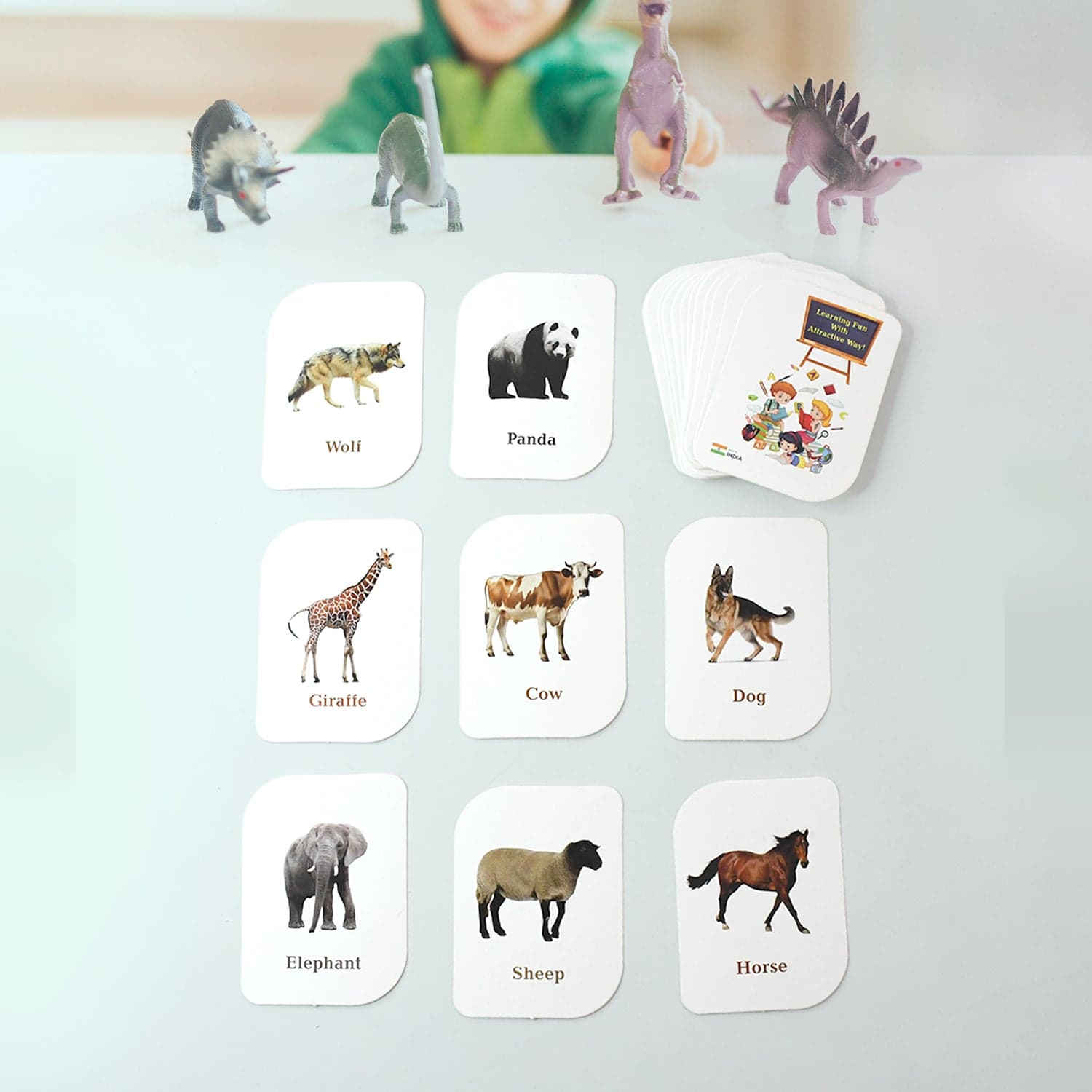Kickkraft 32 Piece Animal Flash Cards Set thumbnail 5