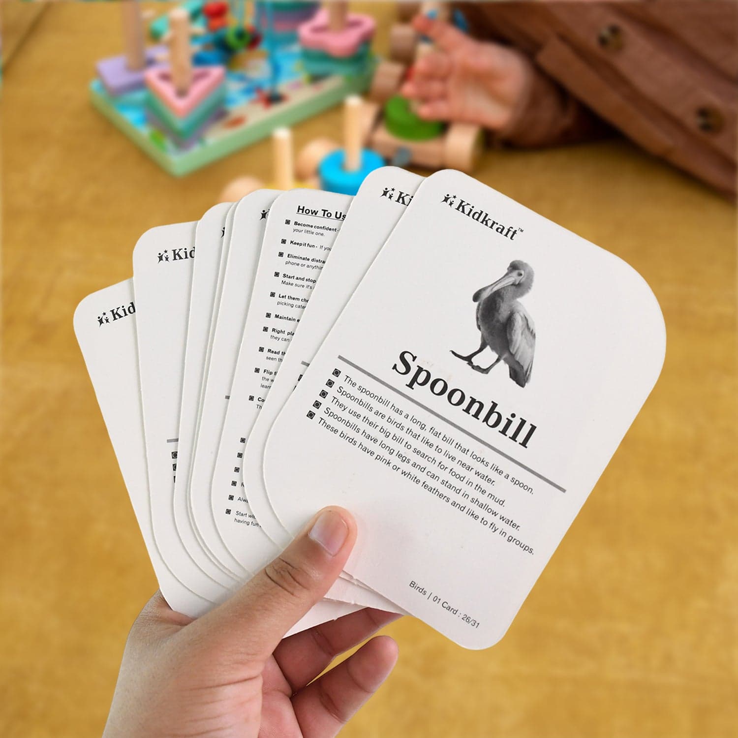 19158 32Pc Birds Flashcard Set thumbnail 4