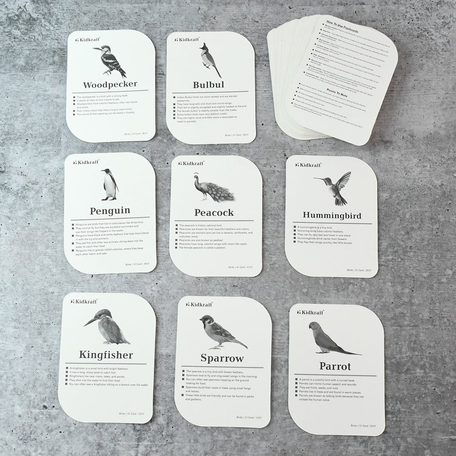 19158 32Pc Birds Flashcard Set thumbnail 6