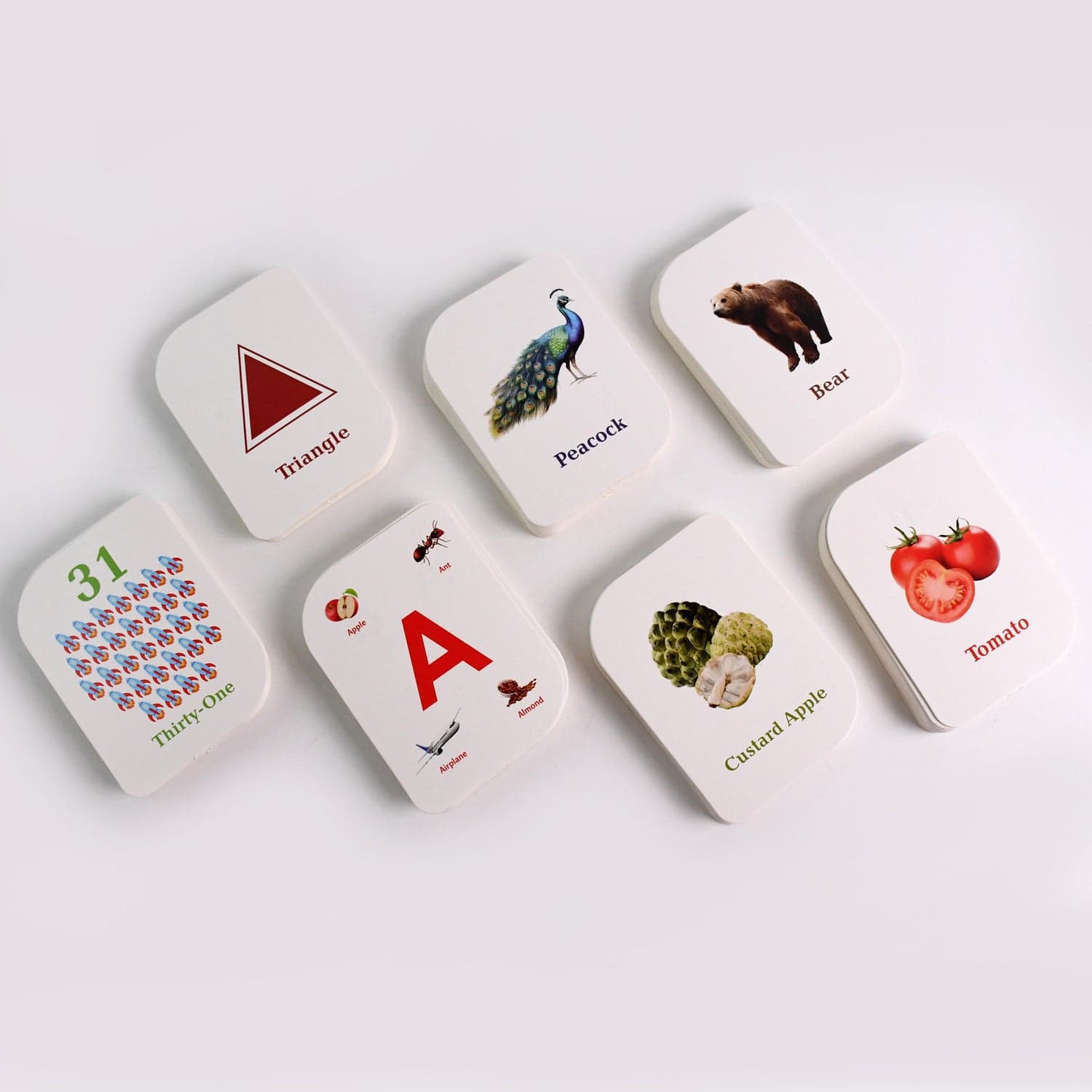 Learner Flashcard Combo Set 224Pc thumbnail 4