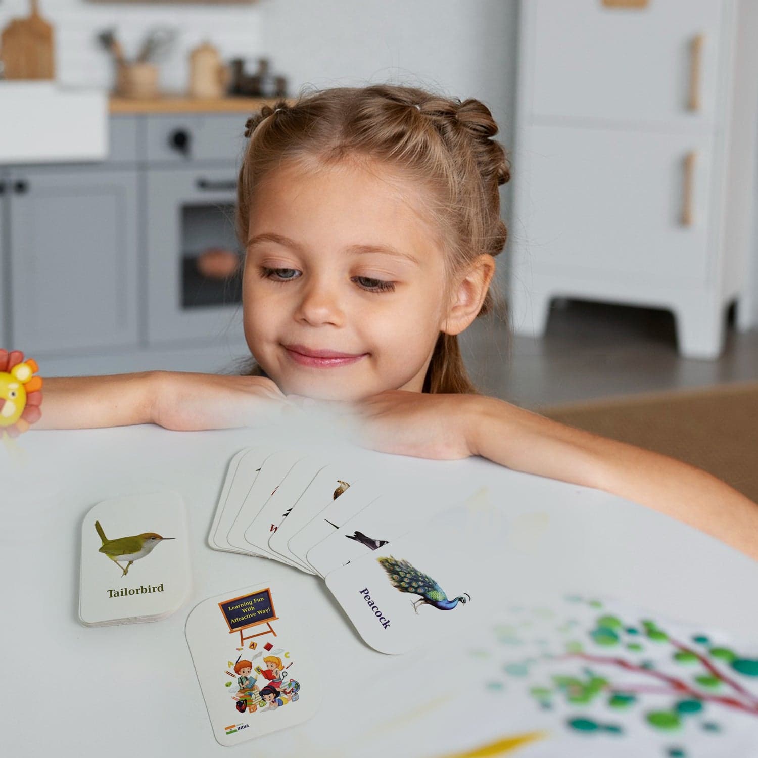Learner Flashcard Combo Set 224Pc thumbnail 5