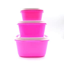 3 Pc Multi-Purpose Container used in all kinds of household and official purposes for storing food and stuffs etc.